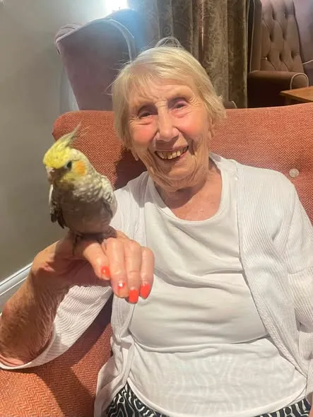 A Very Special Pet Visit to Bushey House