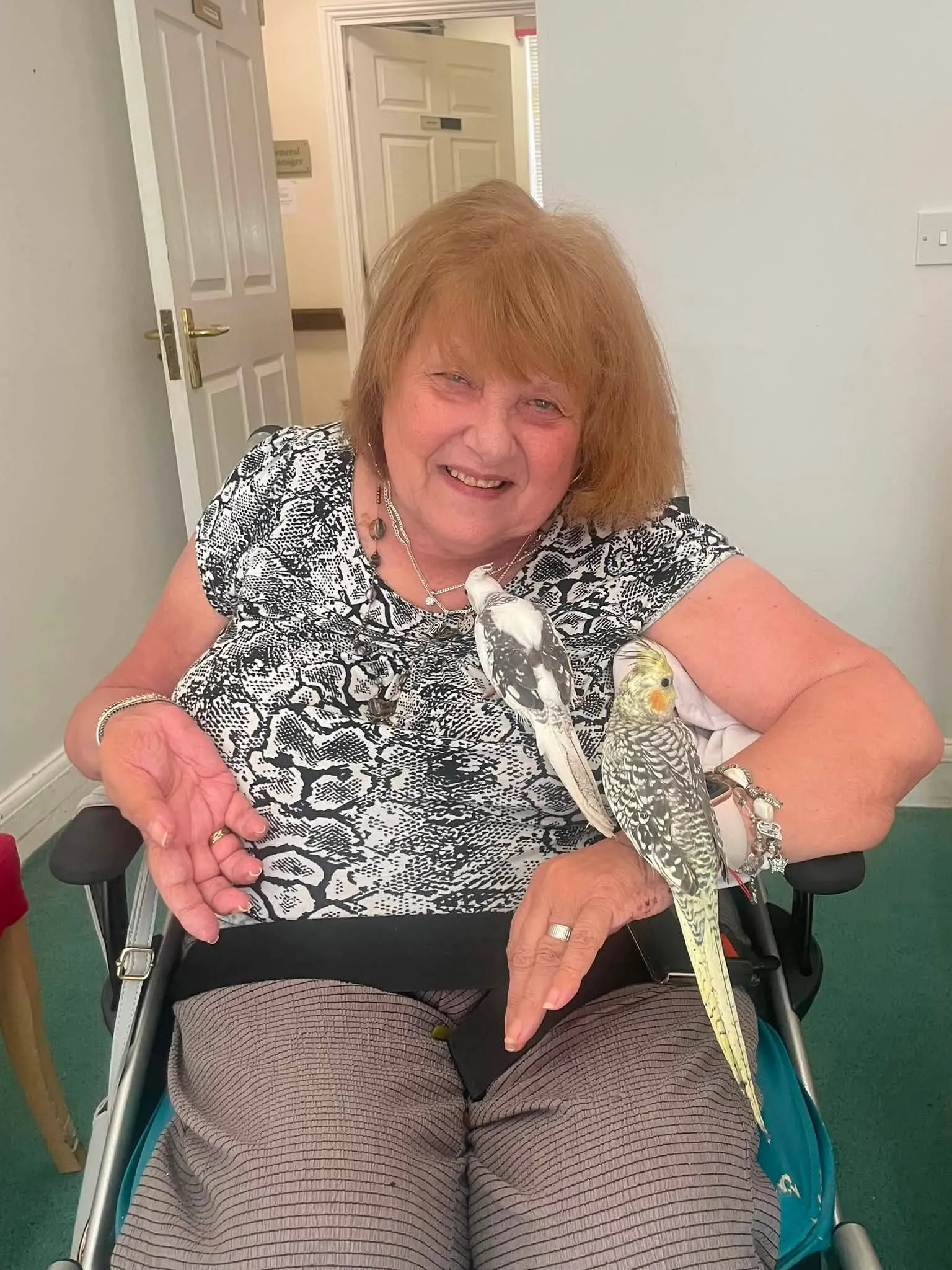 A Very Special Pet Visit to Bushey House