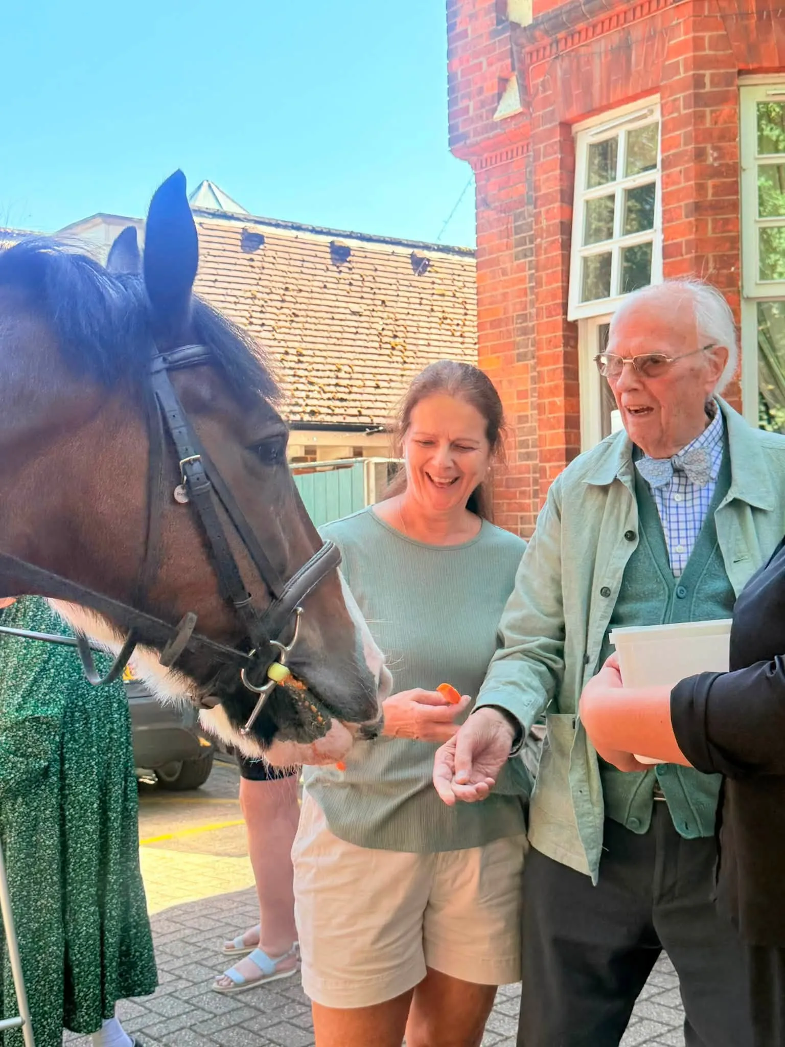 A Wonderful Day of Horse Therapy