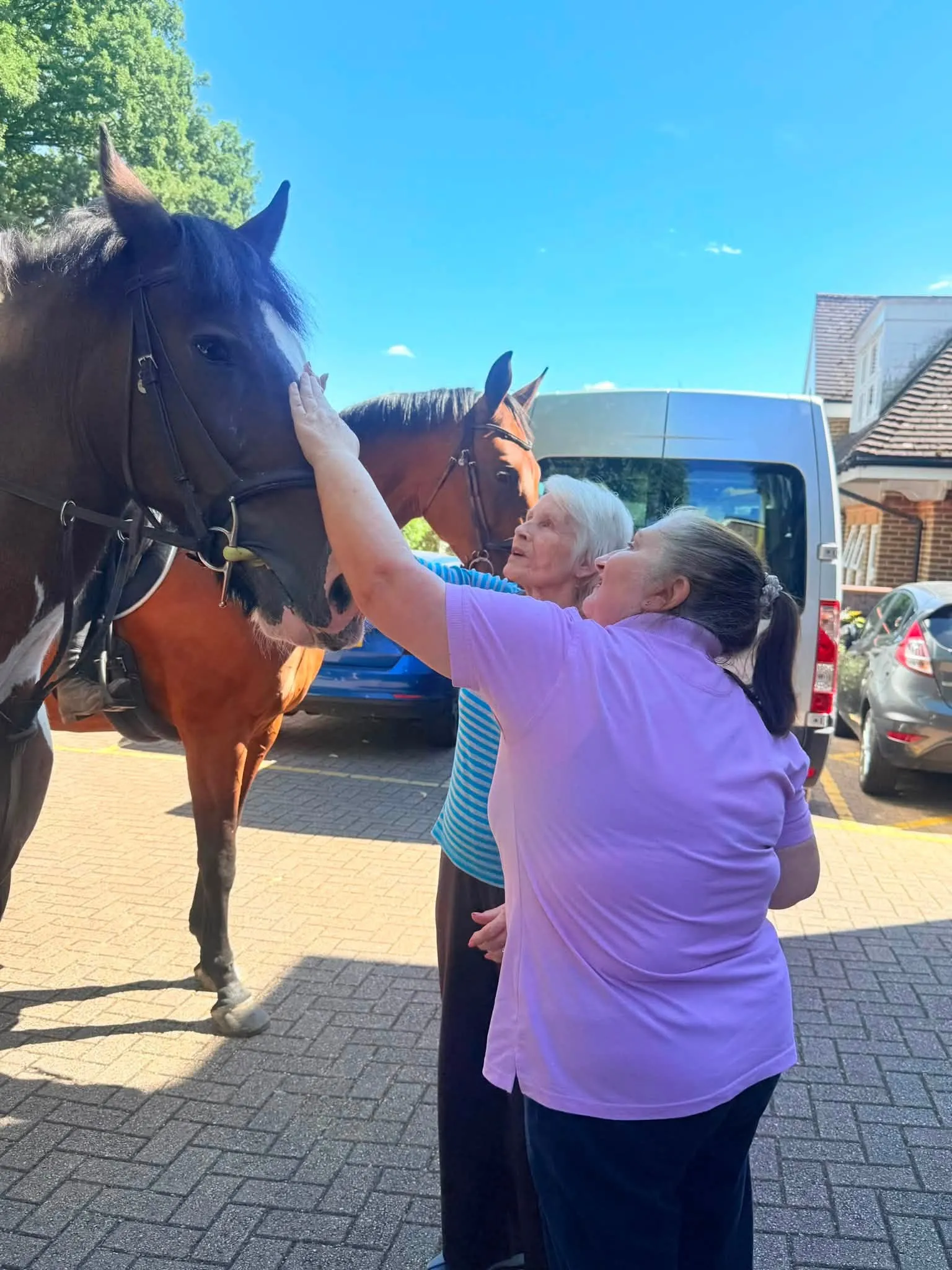 A Wonderful Day of Horse Therapy