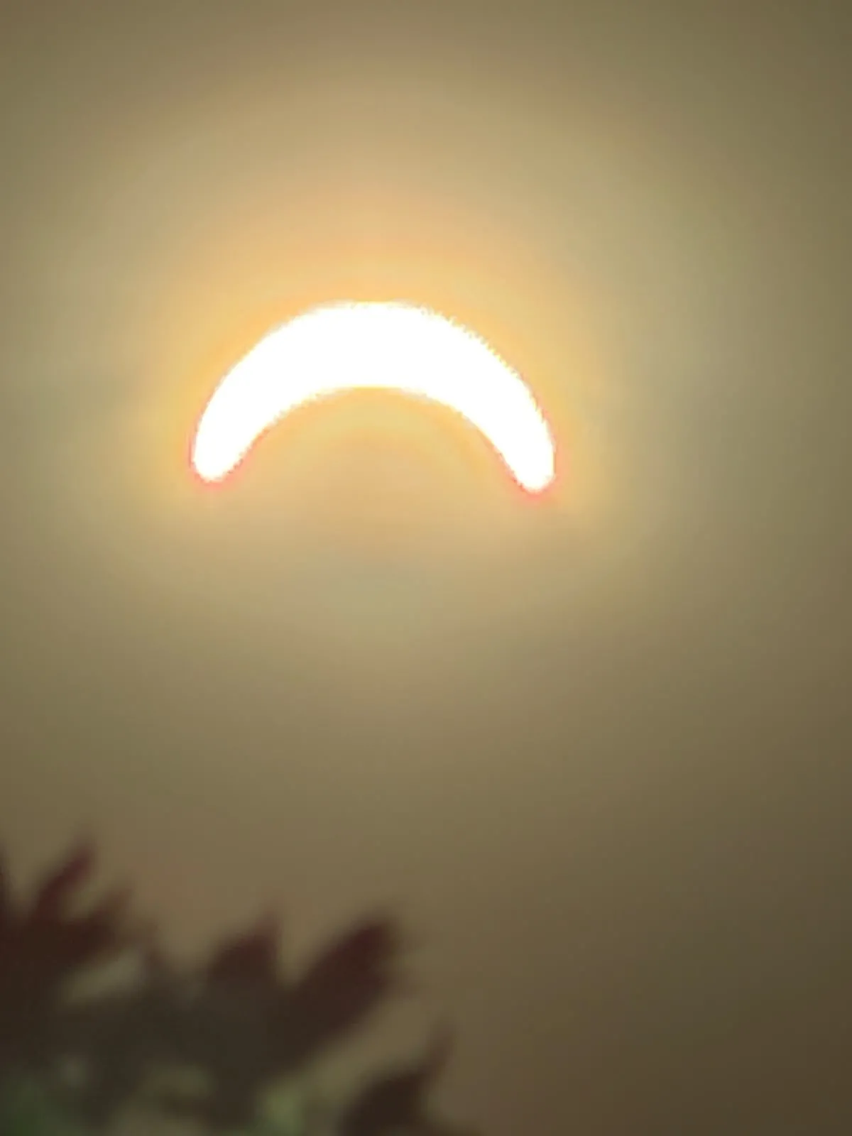 Solar Eclipse