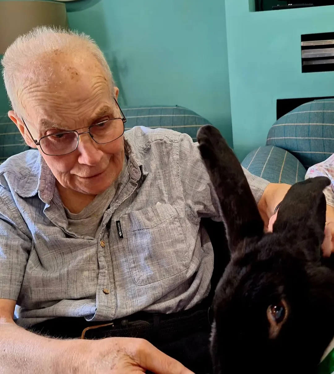 A Day with our Furry Friends