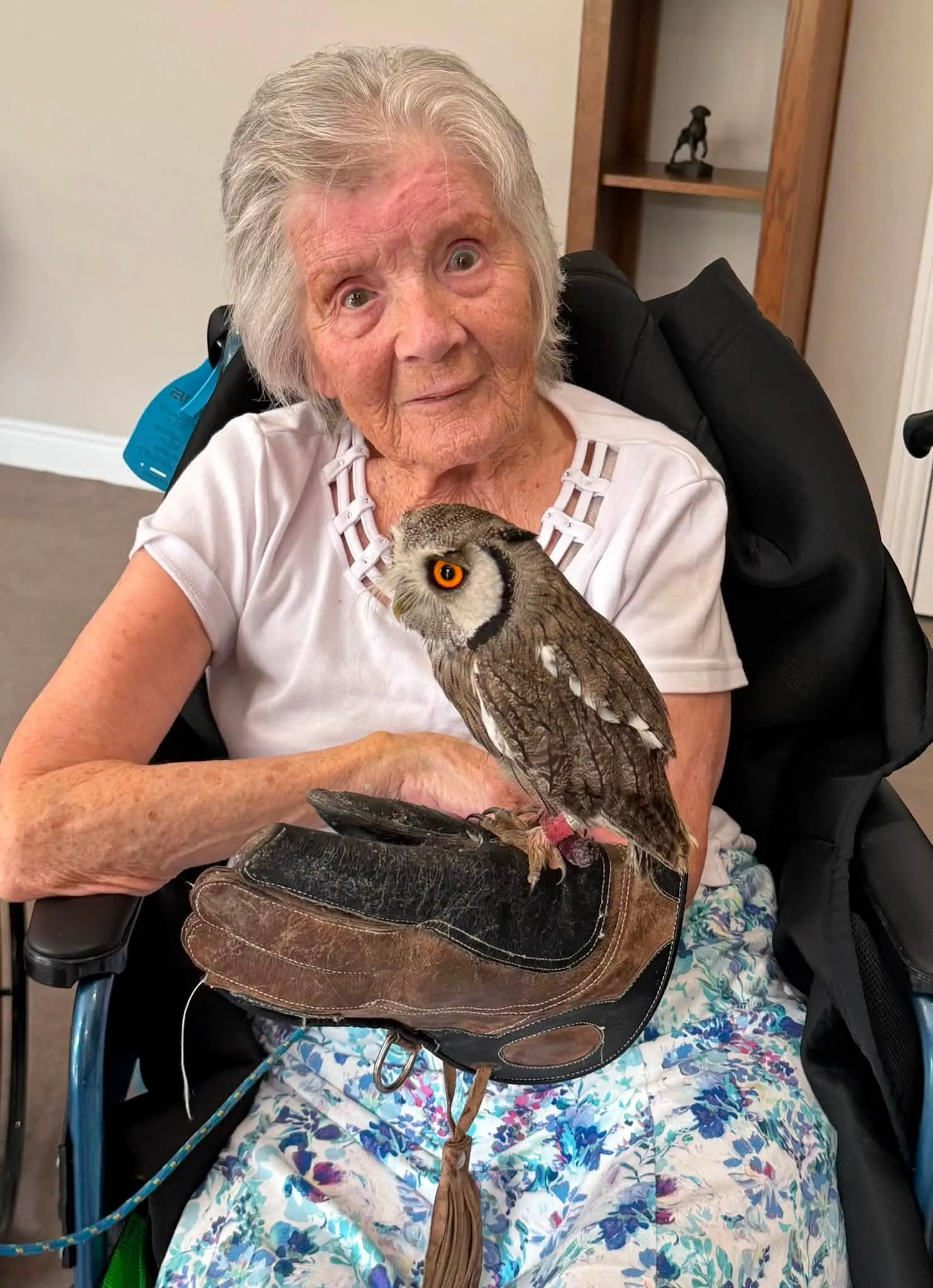 A Visit from Owl Adventures