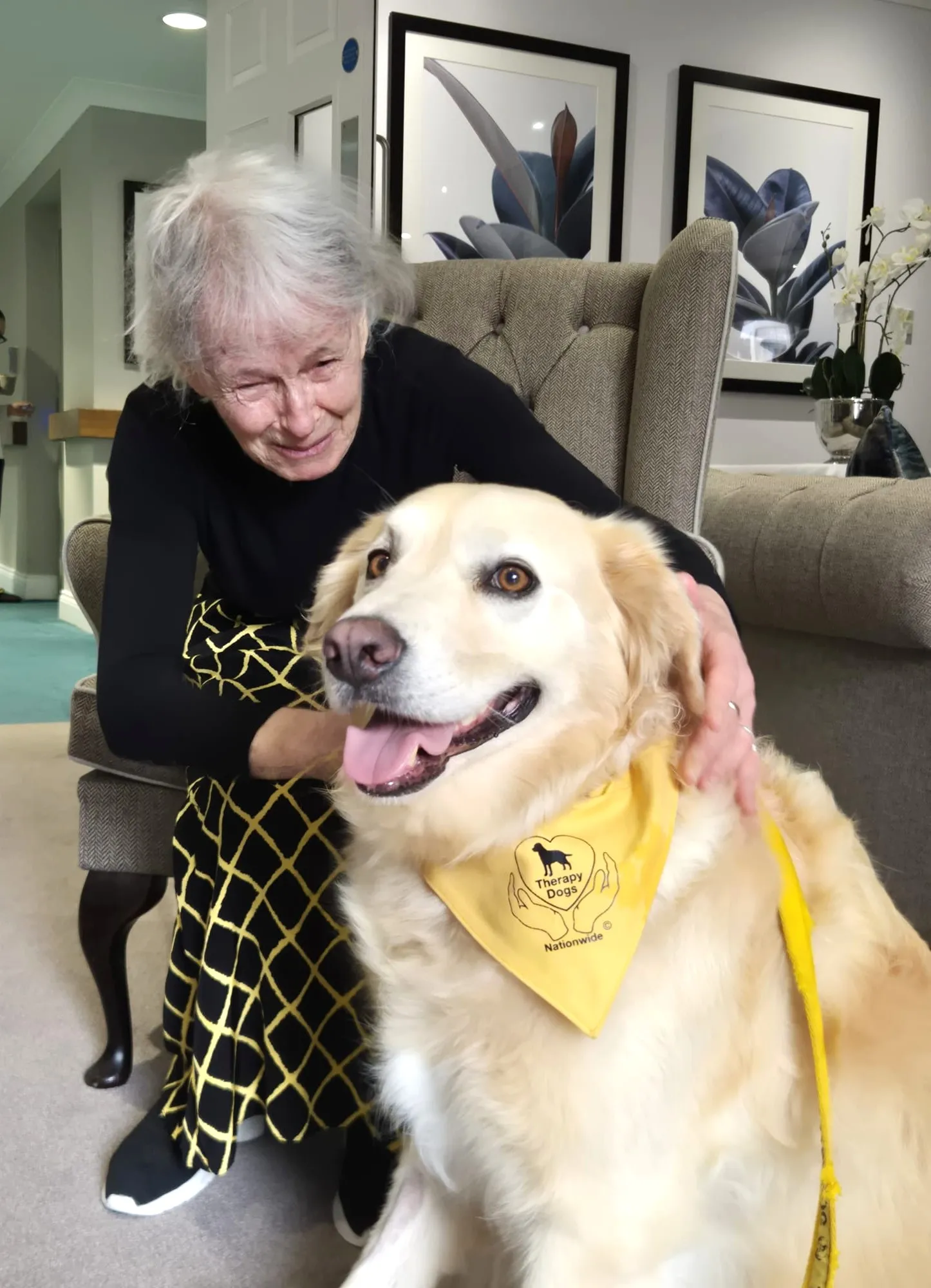 Pet Therapy