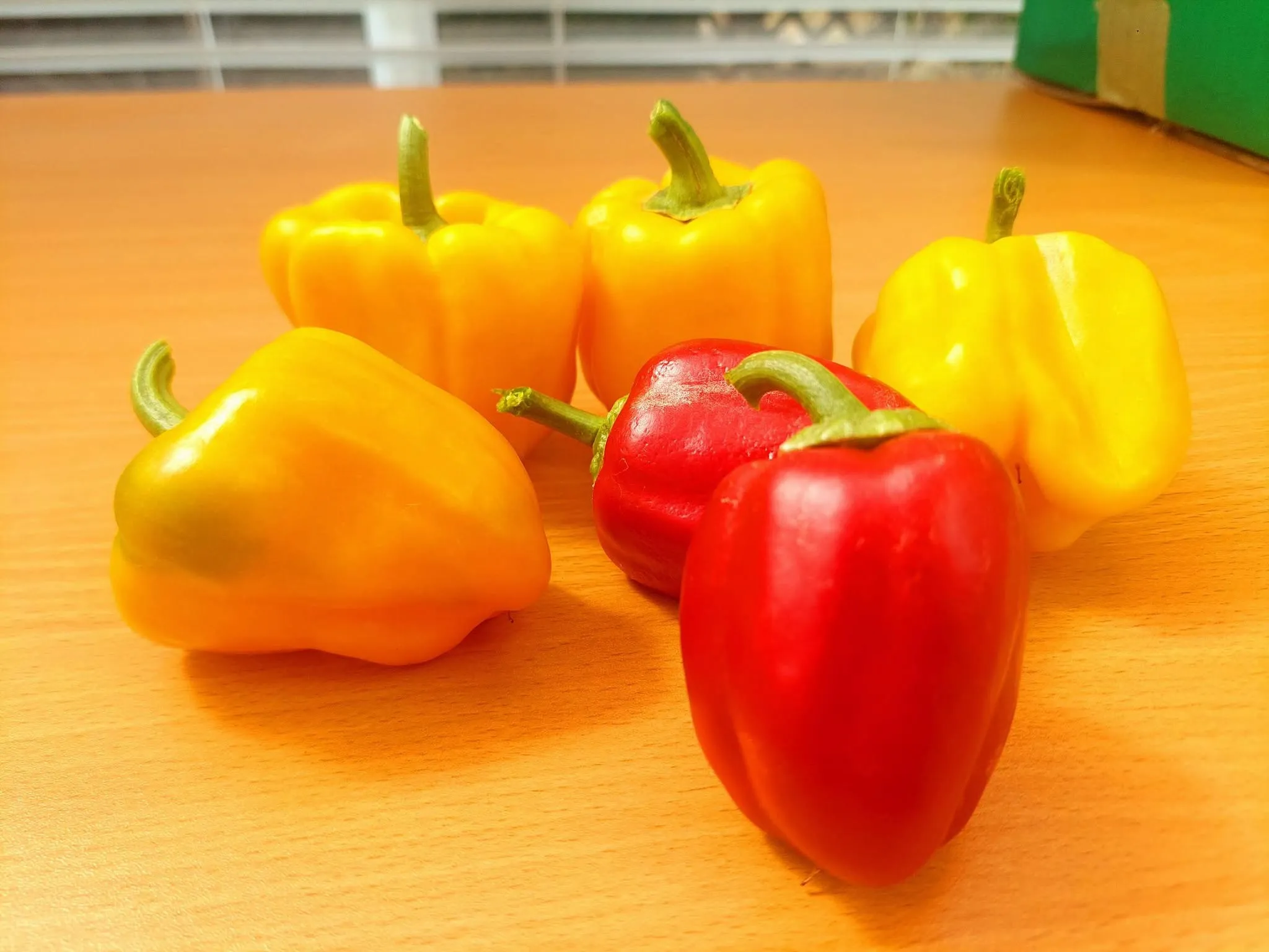 From Seed to Salad!