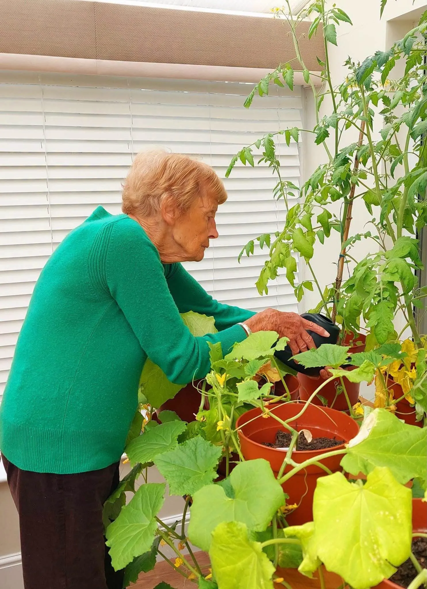 From Seed to Salad!