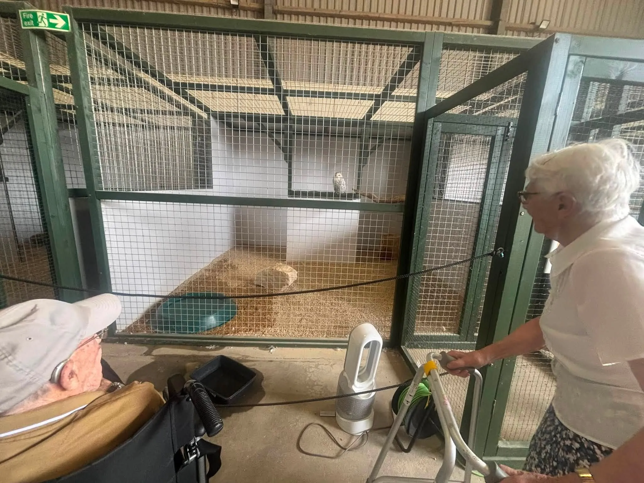 Visit to the Bird of Prey Centre in Newton St. Loe