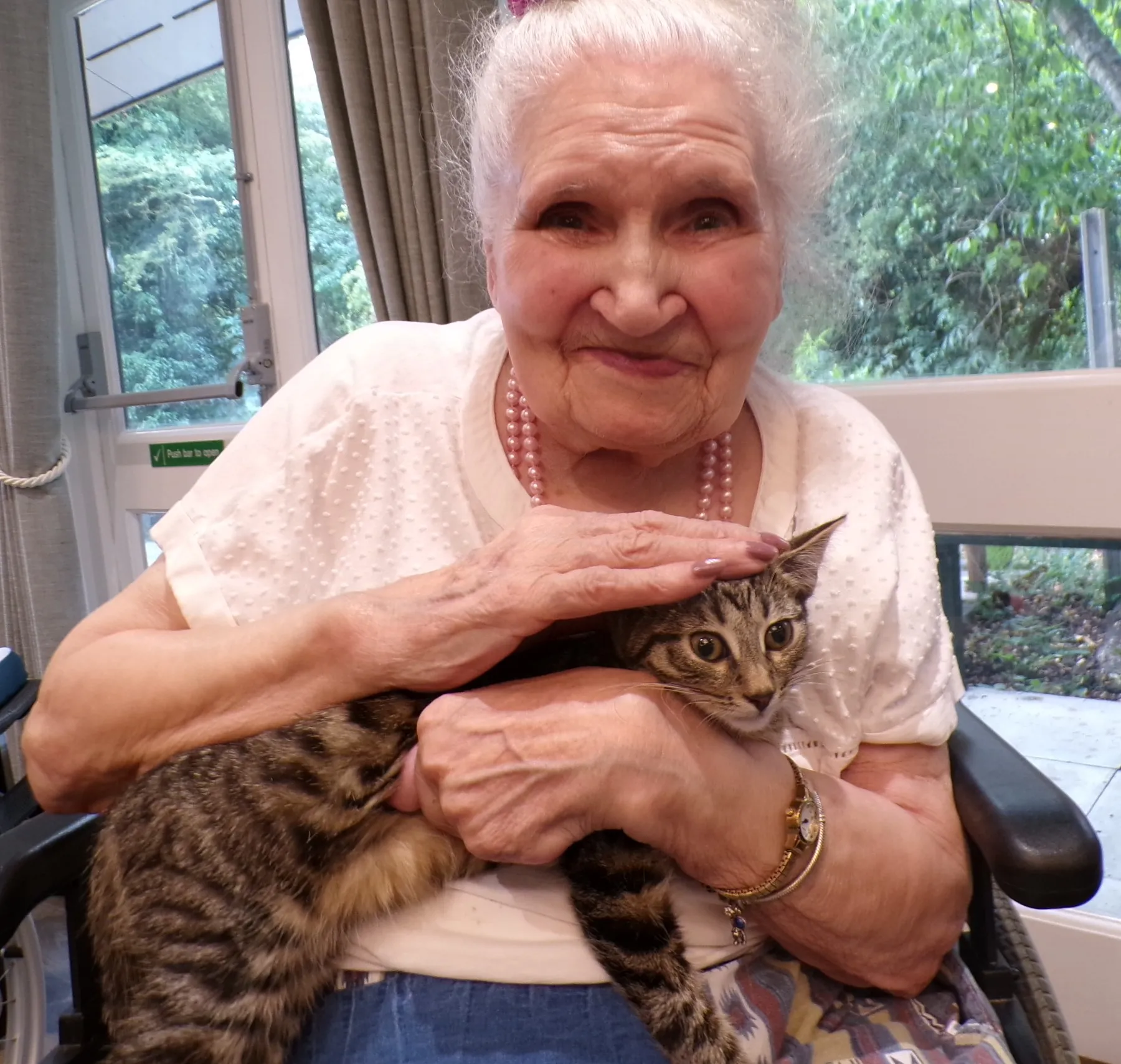 Feline Fantastic 