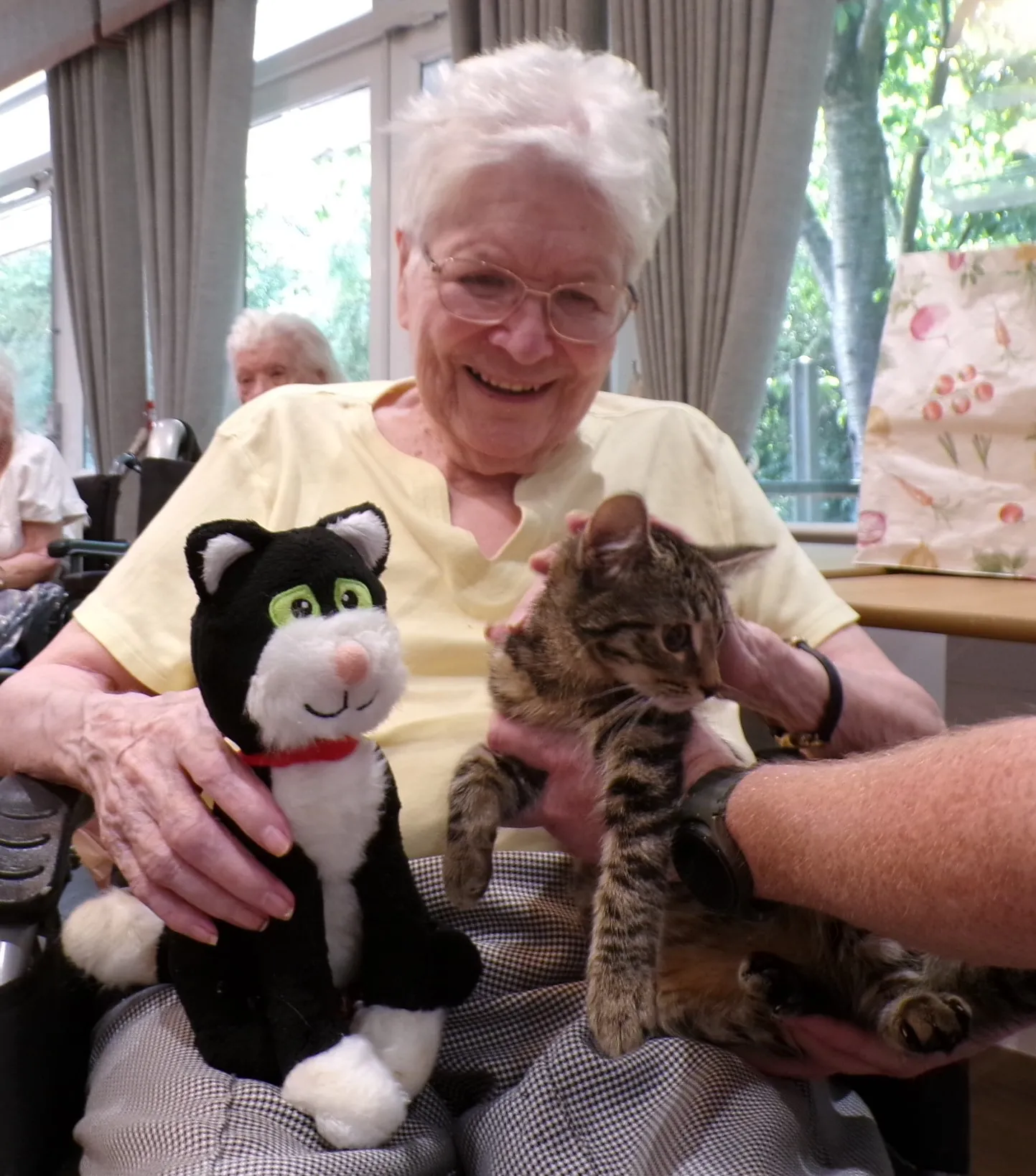 Feline Fantastic 