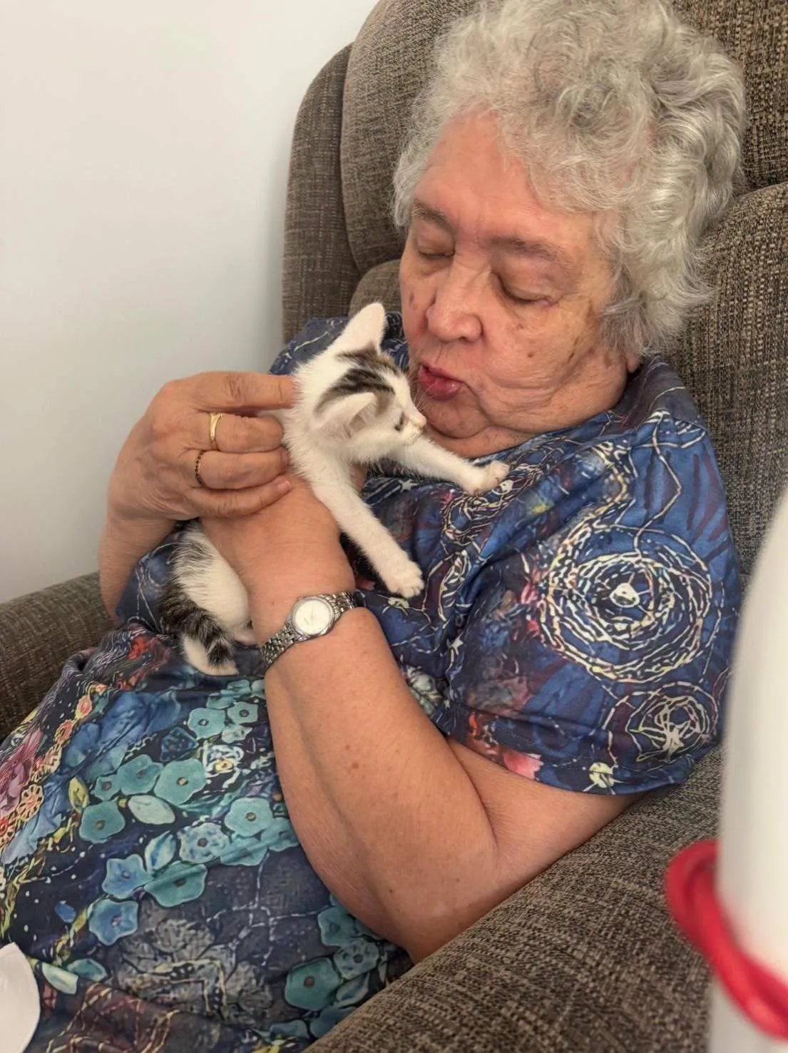 Cue the happy tears and purrs