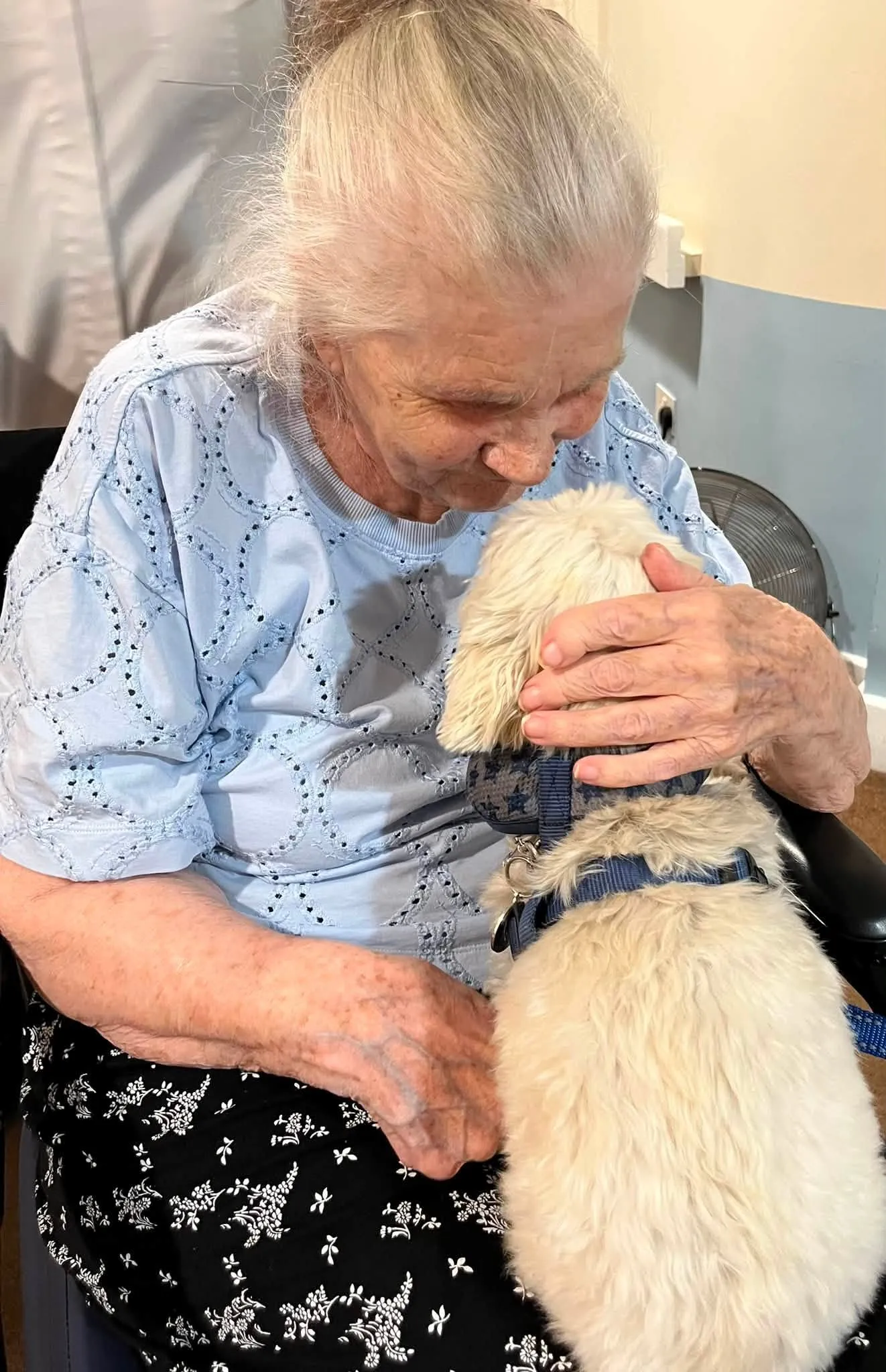 Toto visits Emily Jackson House