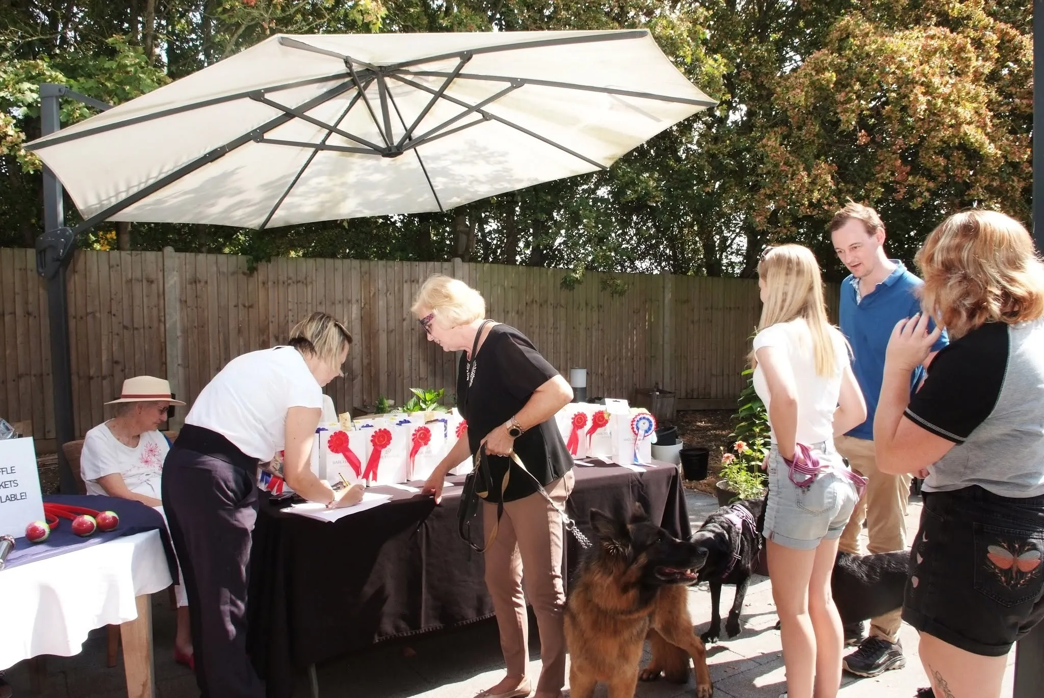 Paws & Community Dog Show