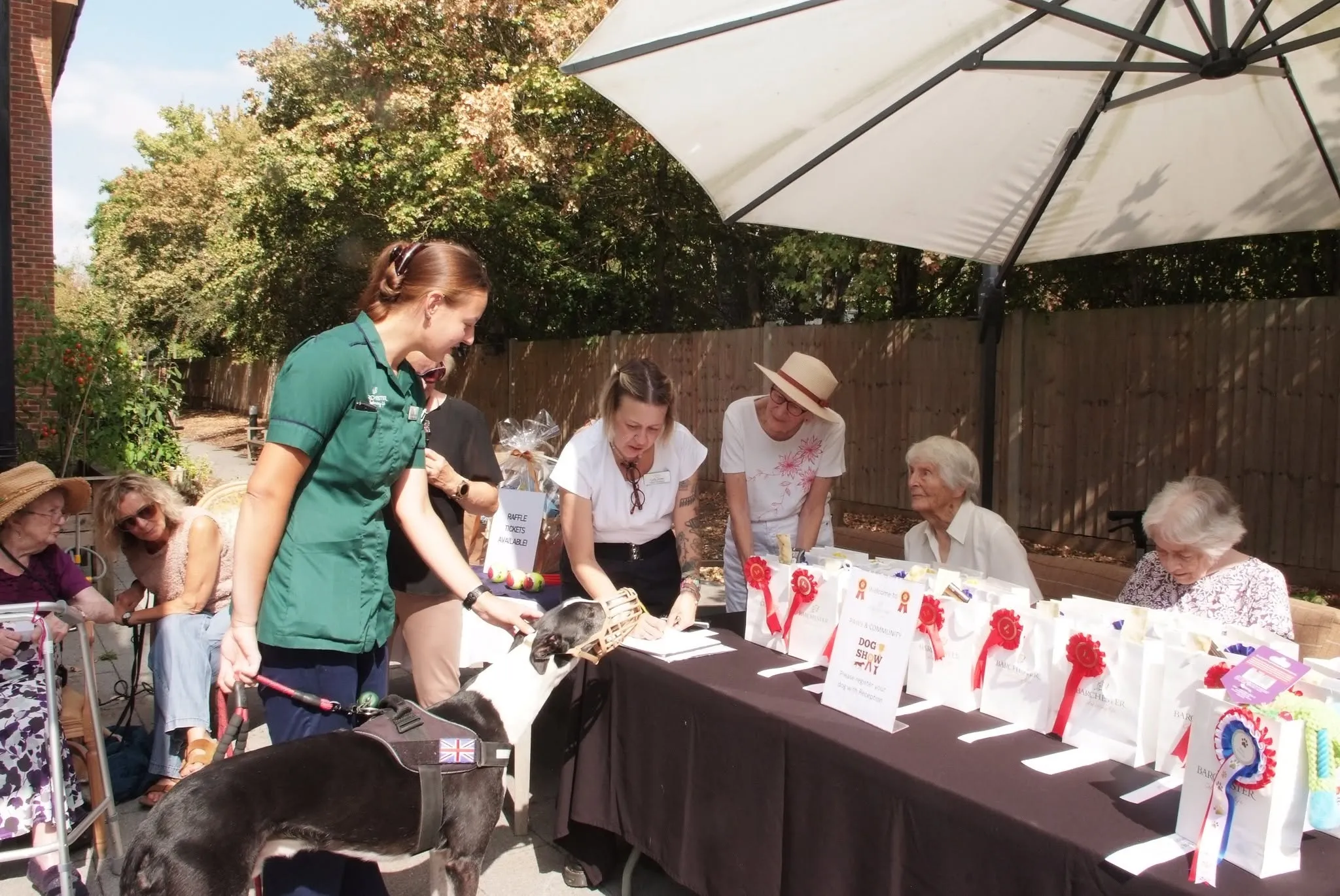 Paws & Community Dog Show