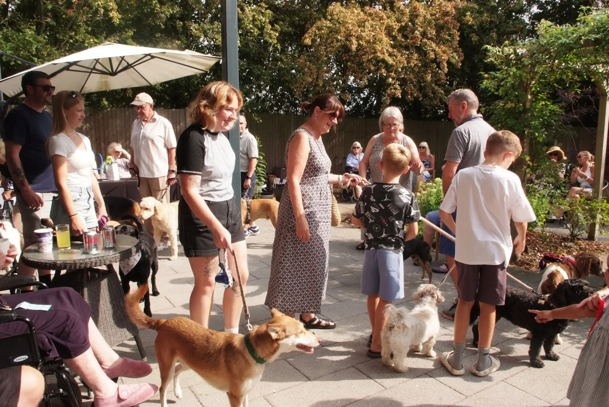 Paws & Community Dog Show