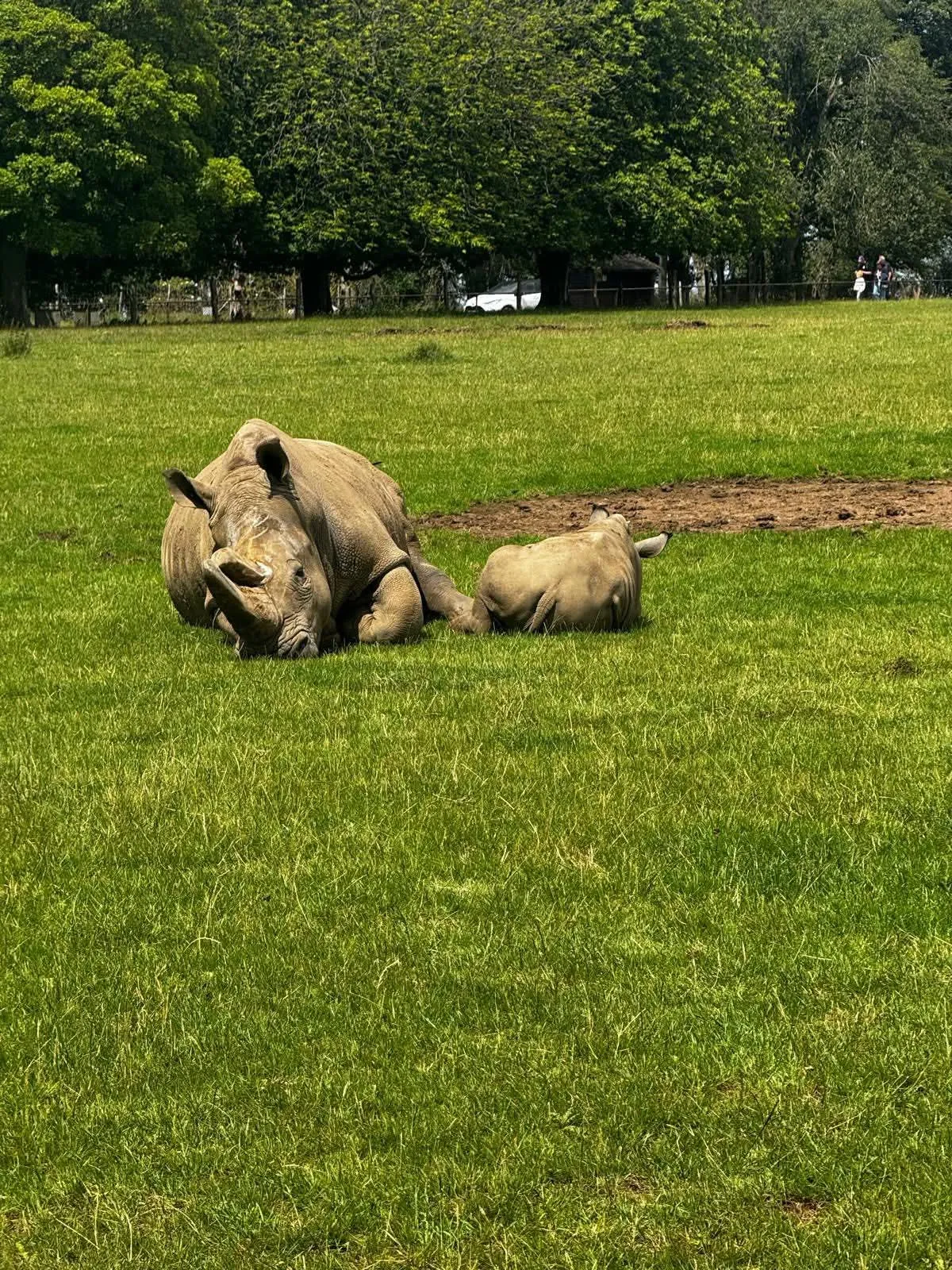 A trip to the zoo