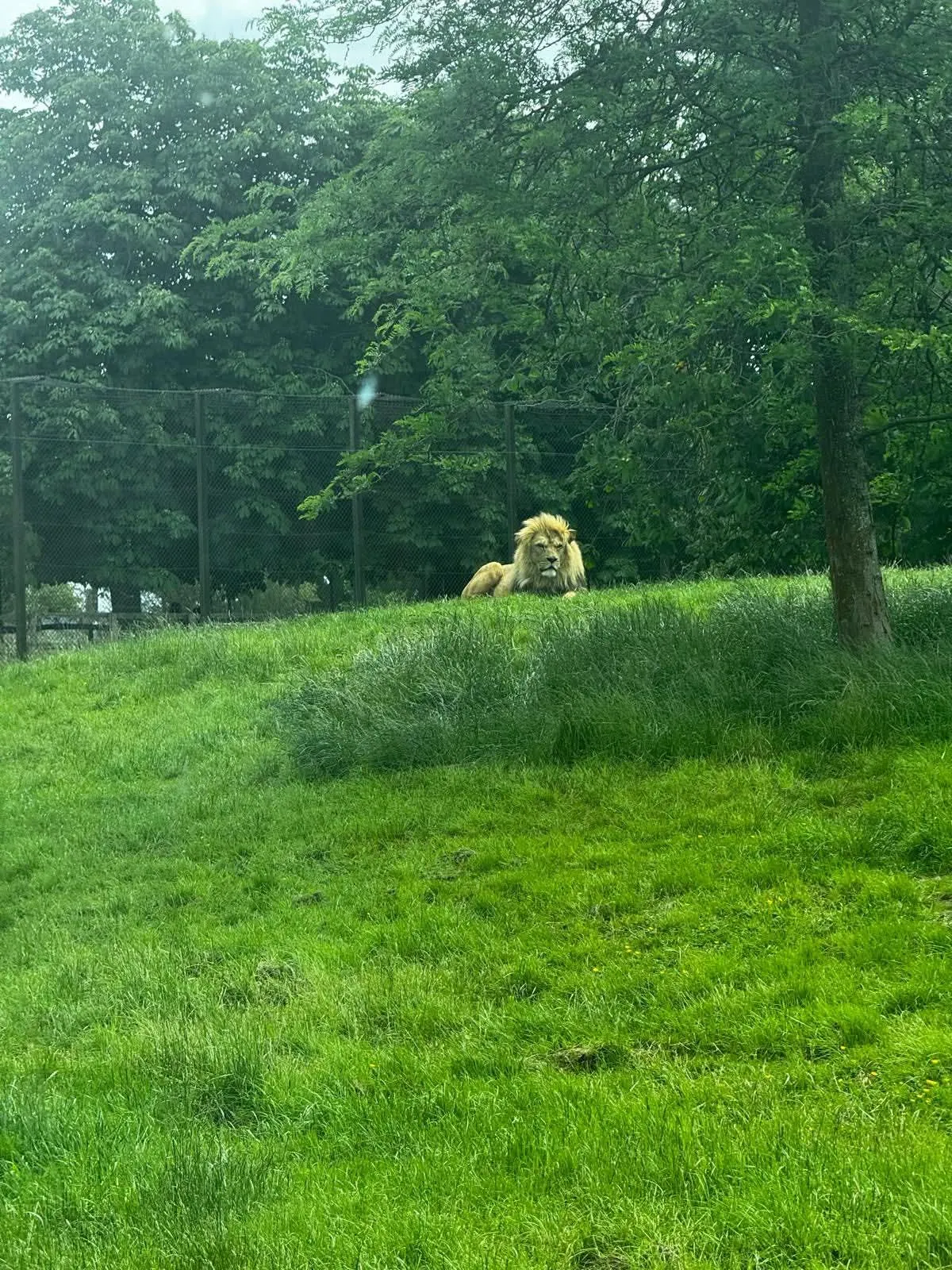 A trip to the zoo