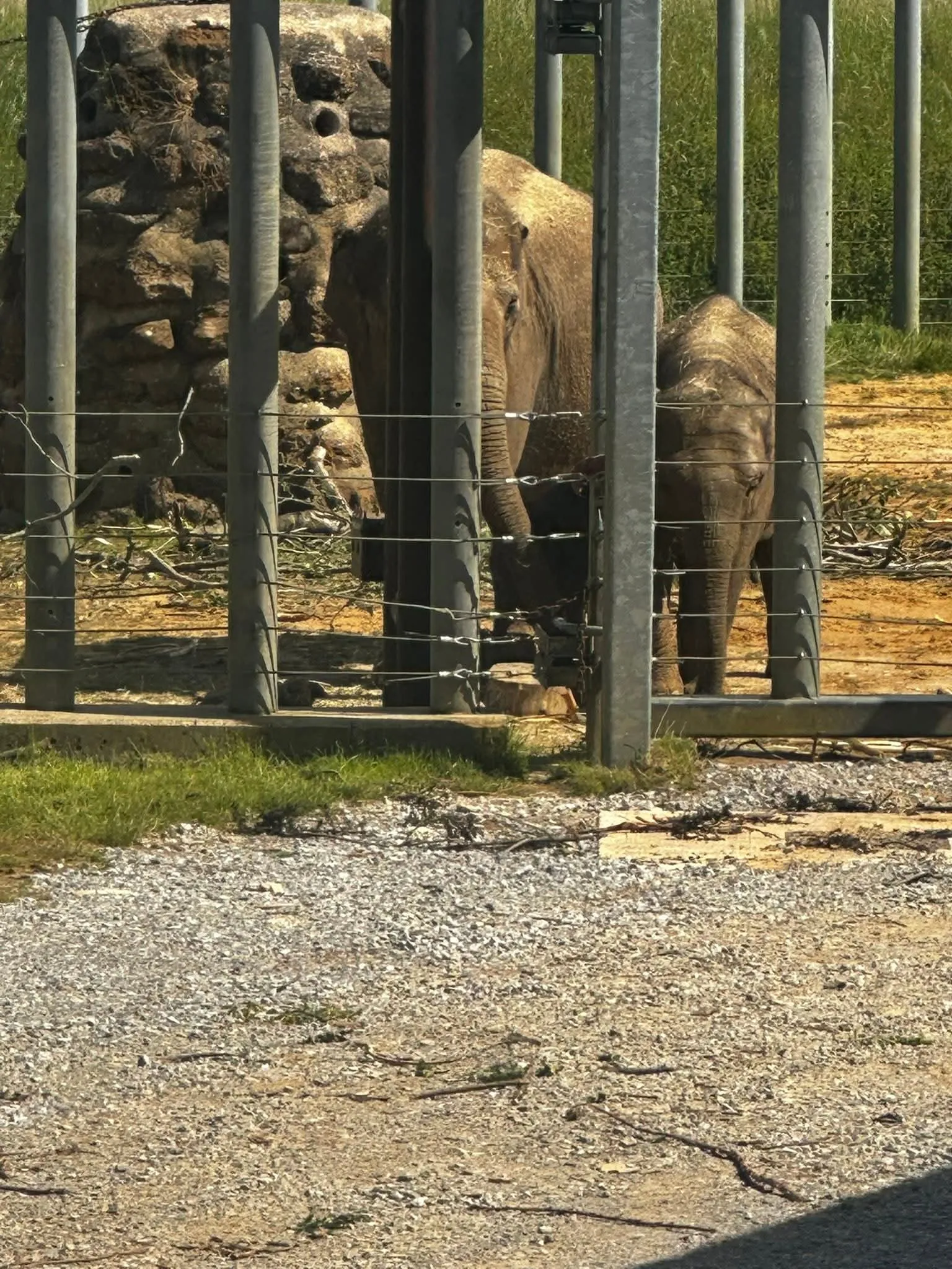 A trip to the zoo
