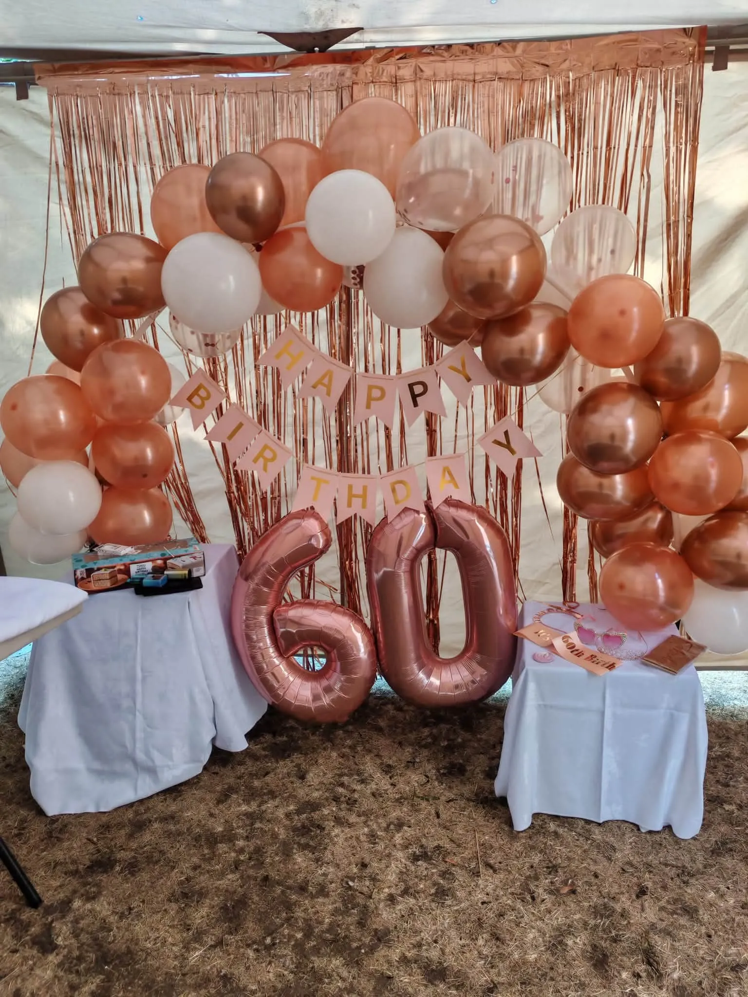 Happy 60th Birthday to our Amazing Activities Coordinator, Teresa!