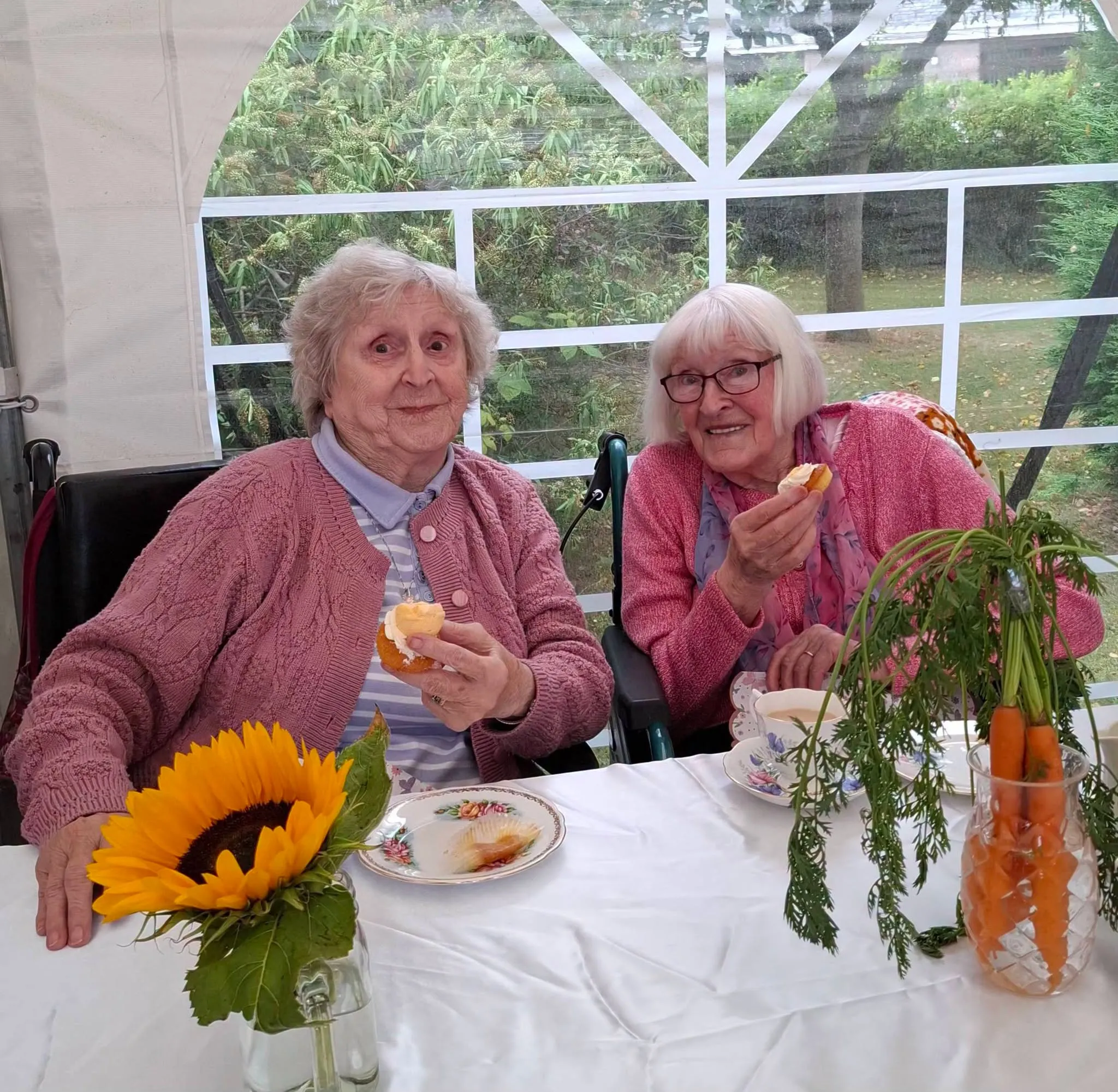 Celebrating Beatrix Potter