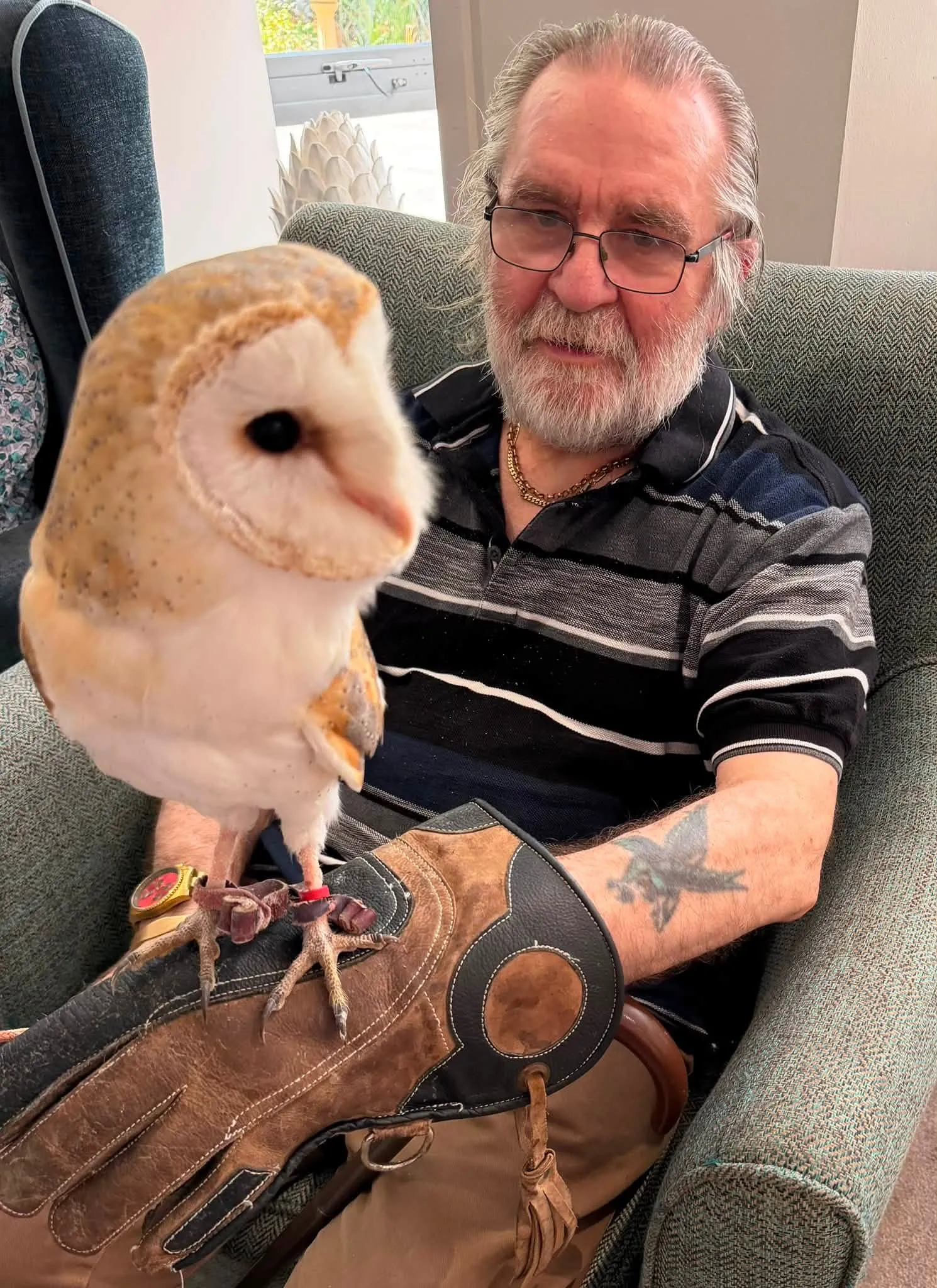 A Visit from Owl Adventures