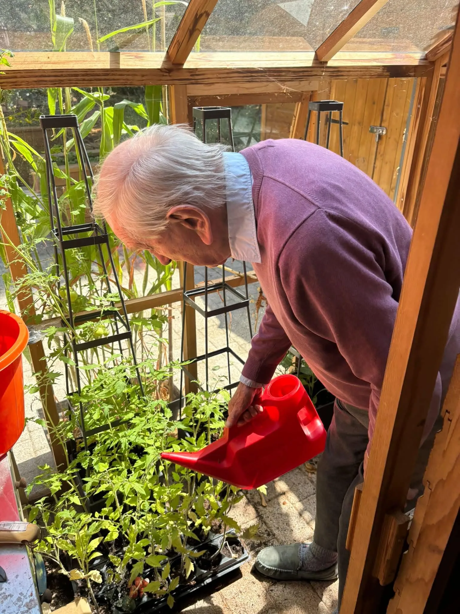 Green Fingers!
