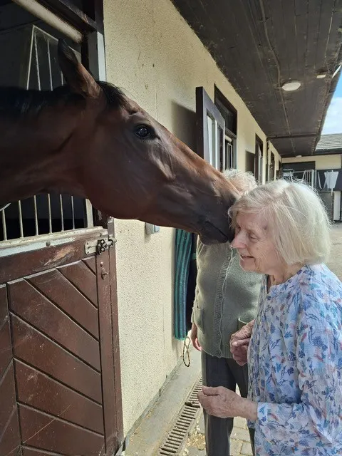 Kings Ride Stables 