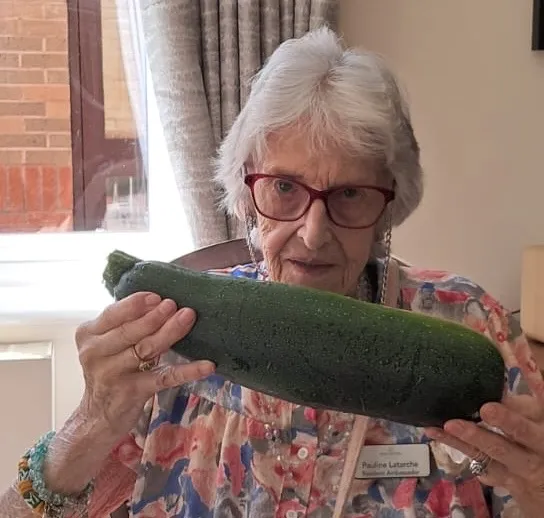 Harvesting our vegetables