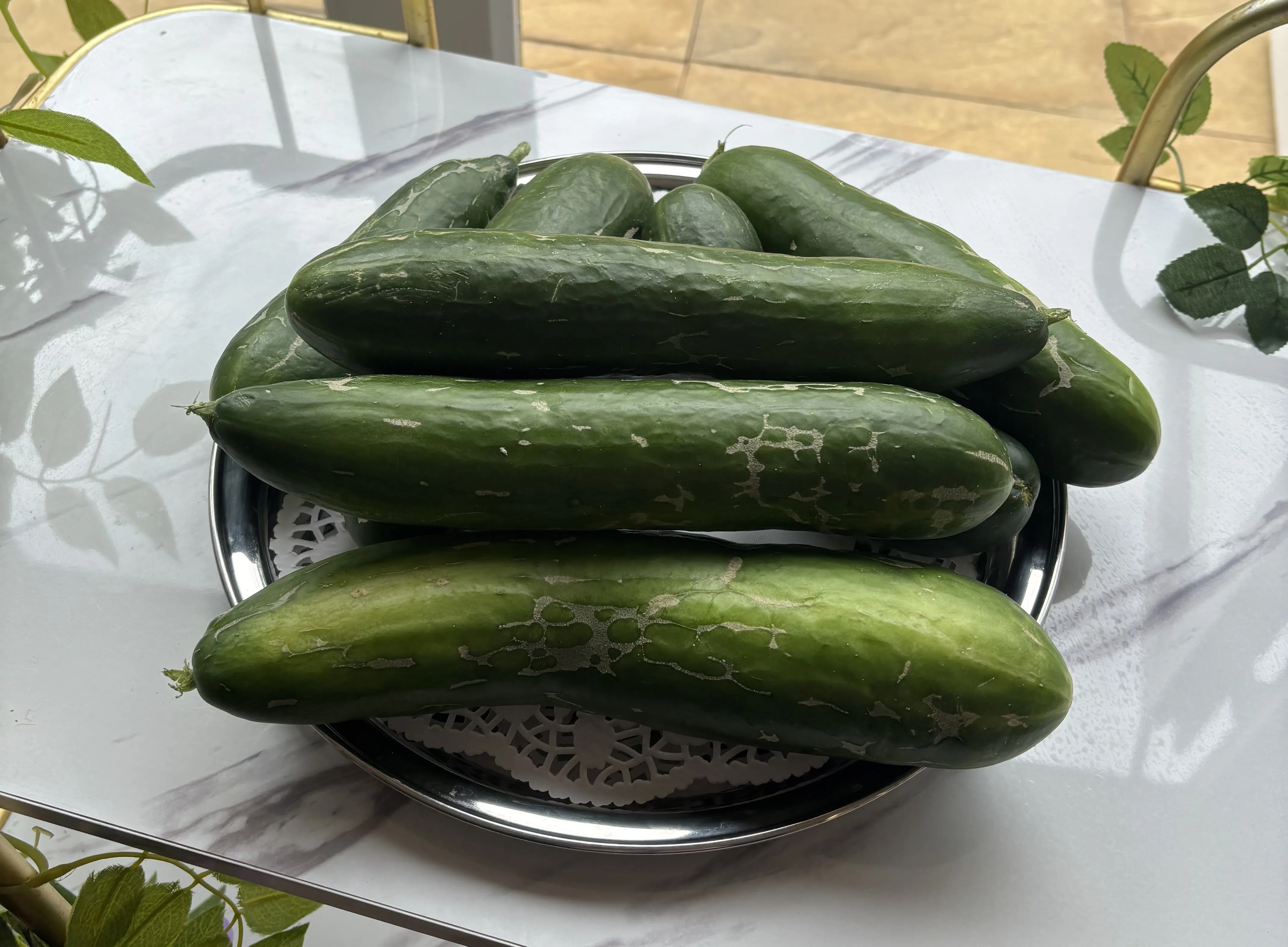 Harvesting our vegetables