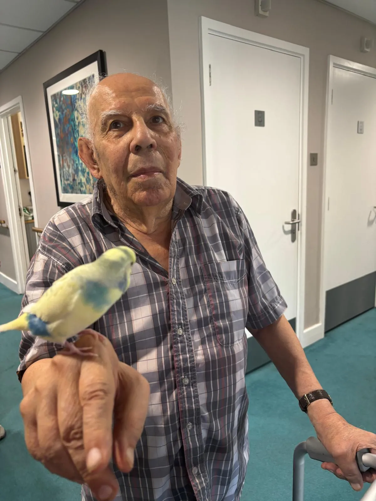 Feathered Friends Bring Smiles to Magnolia Court
