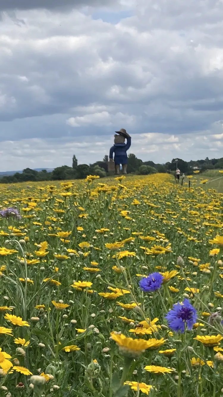 Trip to the ice cream farm