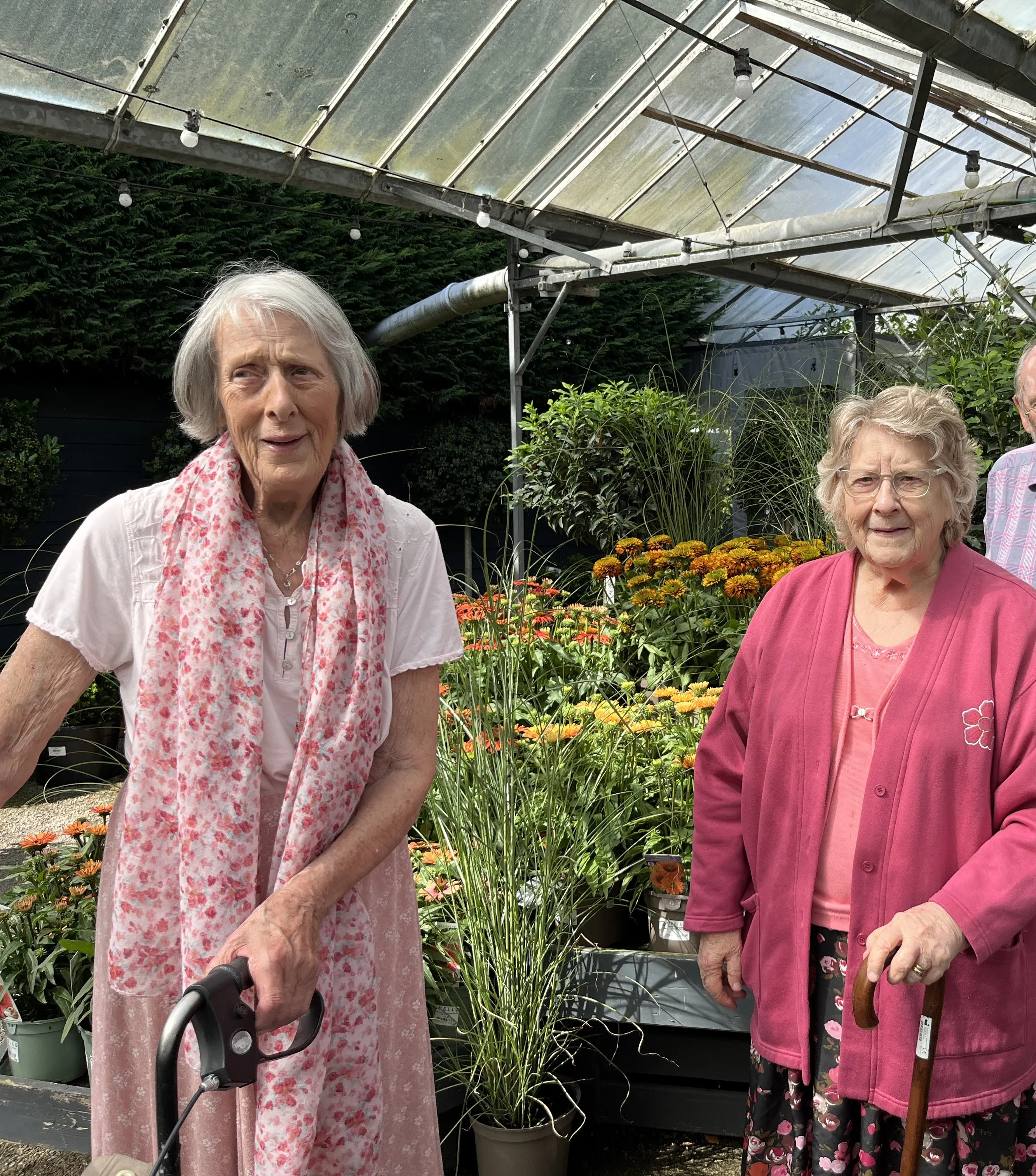 A trip to the garden centre 