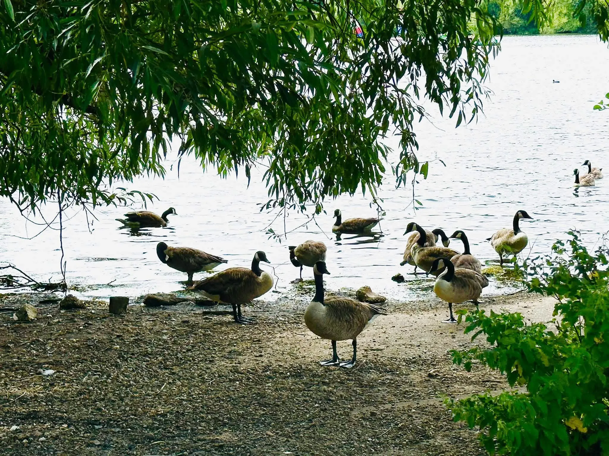 Trip to Aquadrome Park