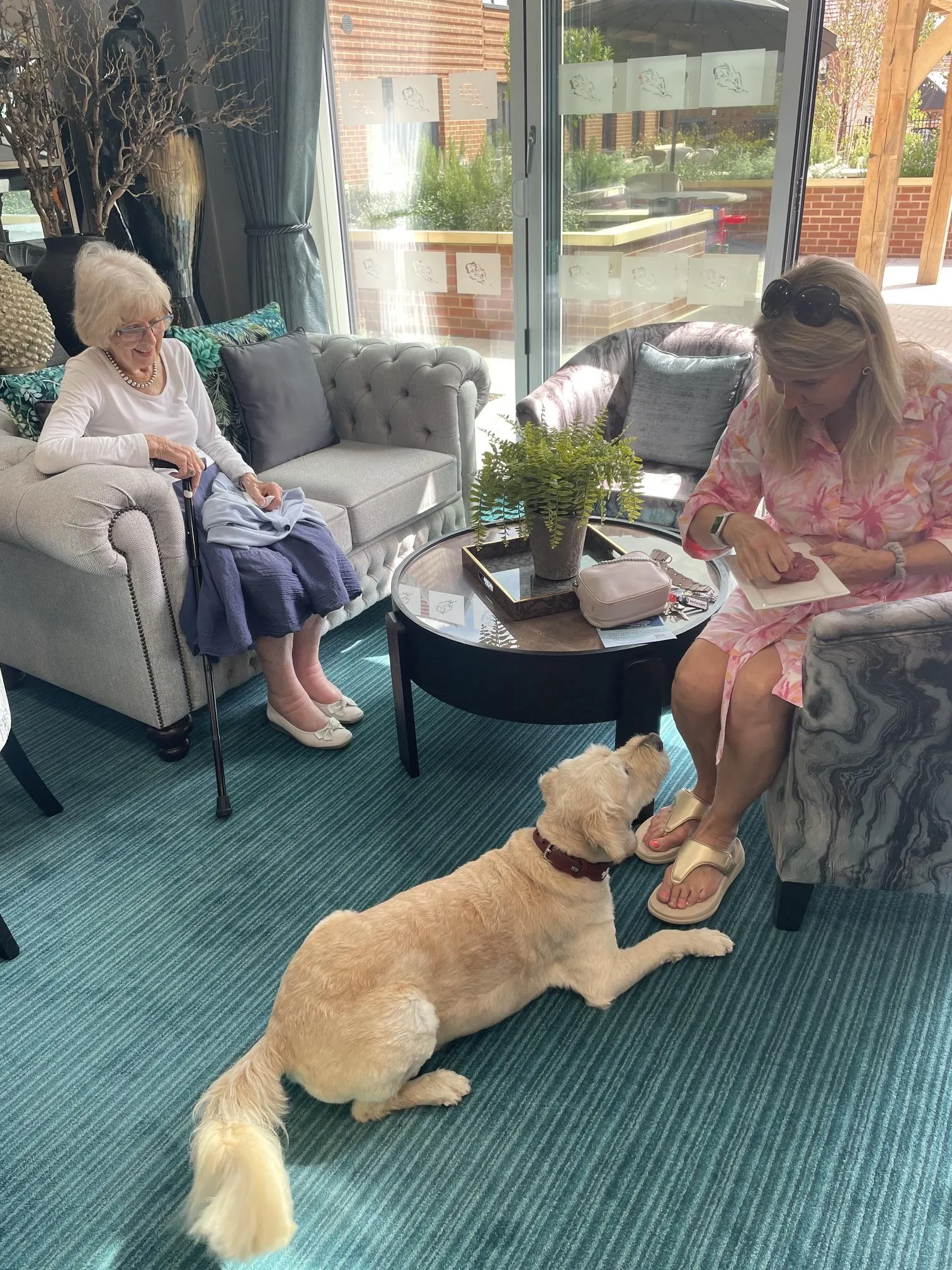 Paws And Prejudice: Rolling Out The Red Carpet For Mr Darcy!