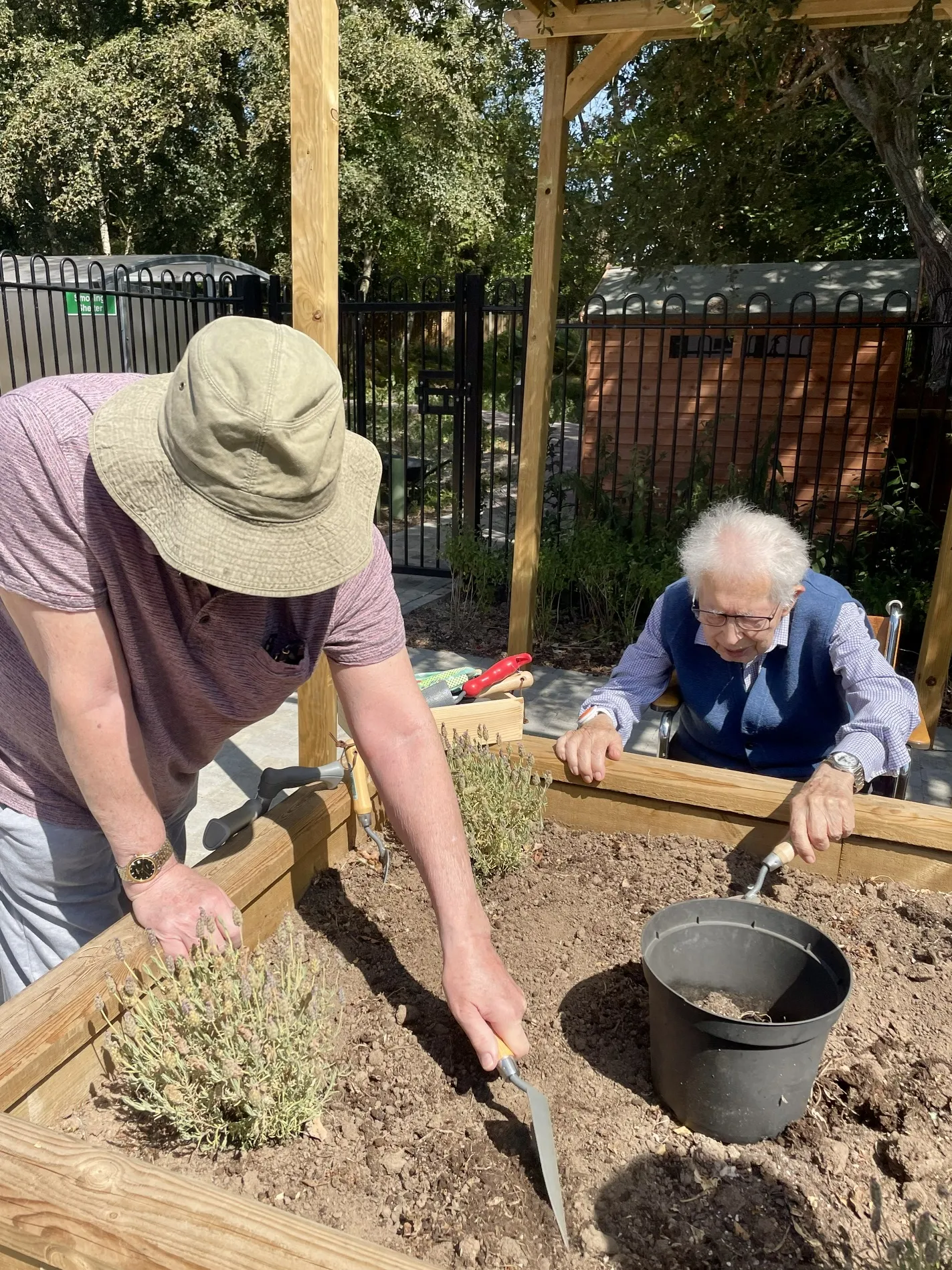 A Busy Afternoon in the Garden