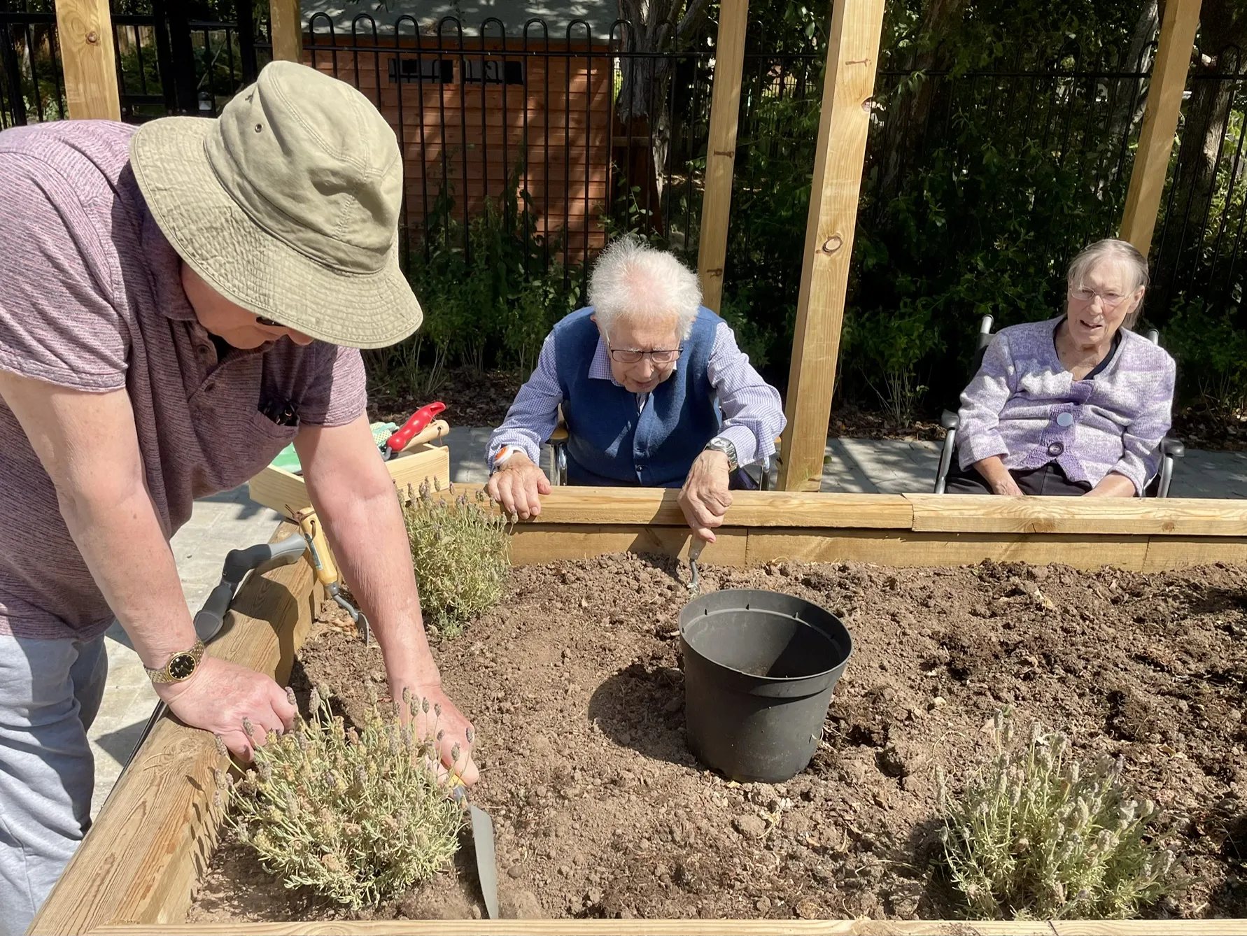 A Busy Afternoon in the Garden