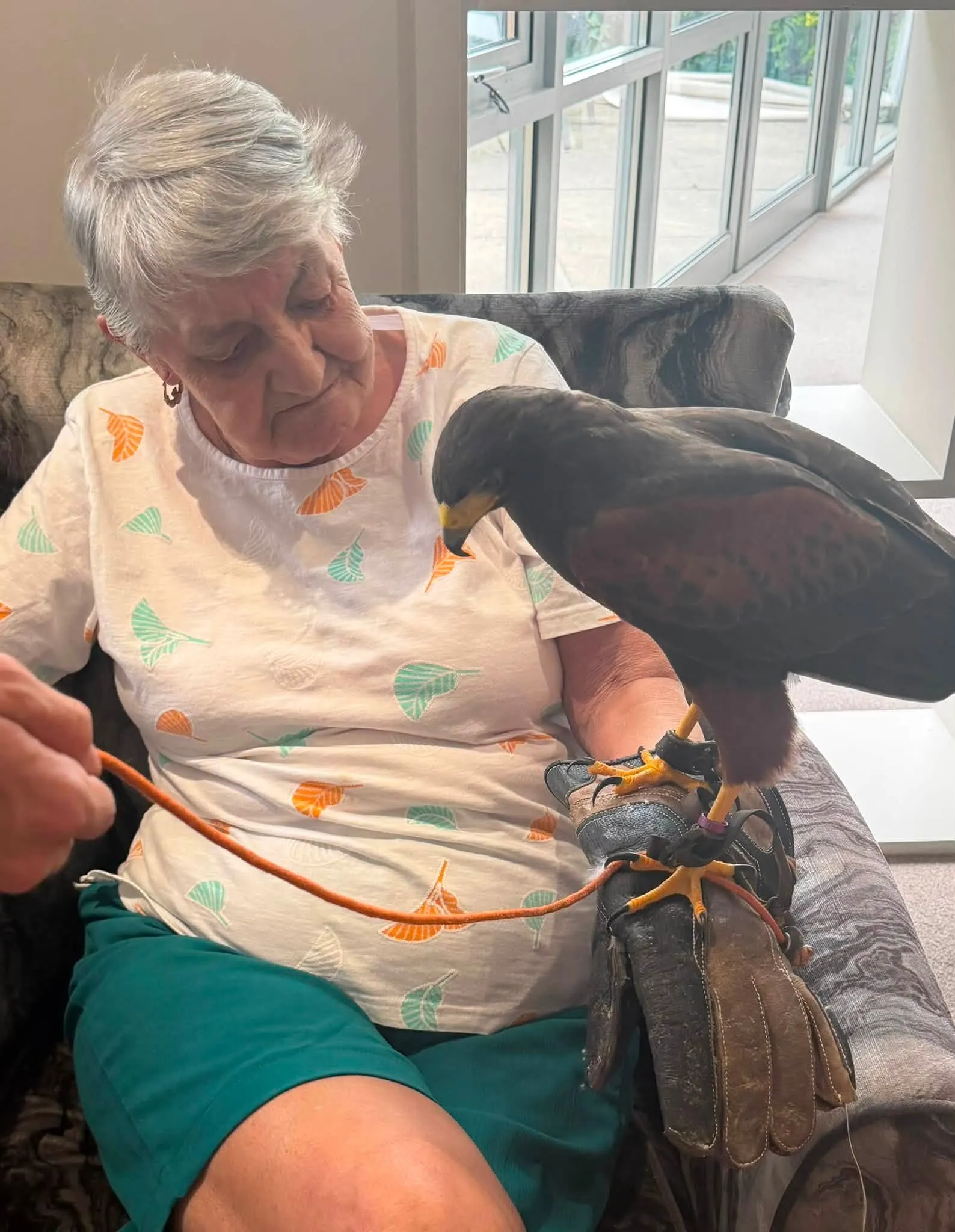 A Visit from Owl Adventures