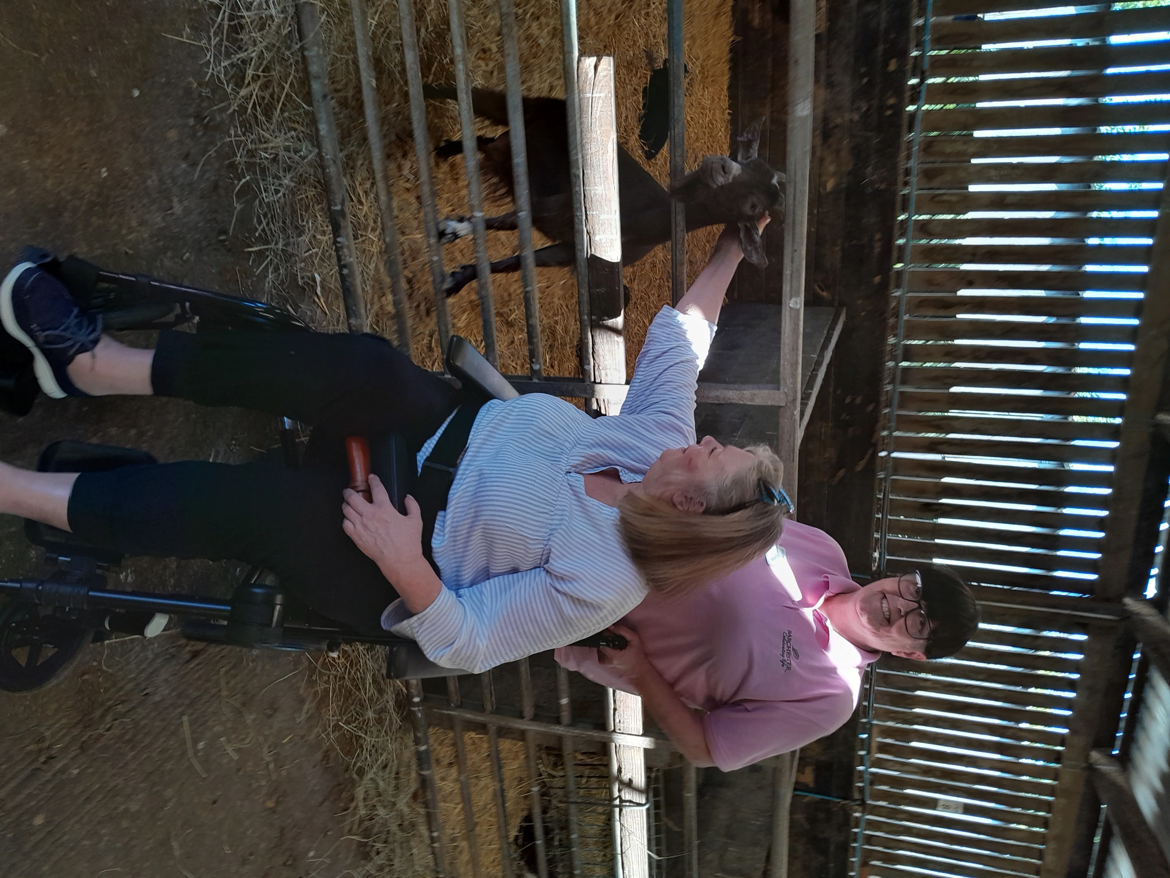 Mabie Farm Park