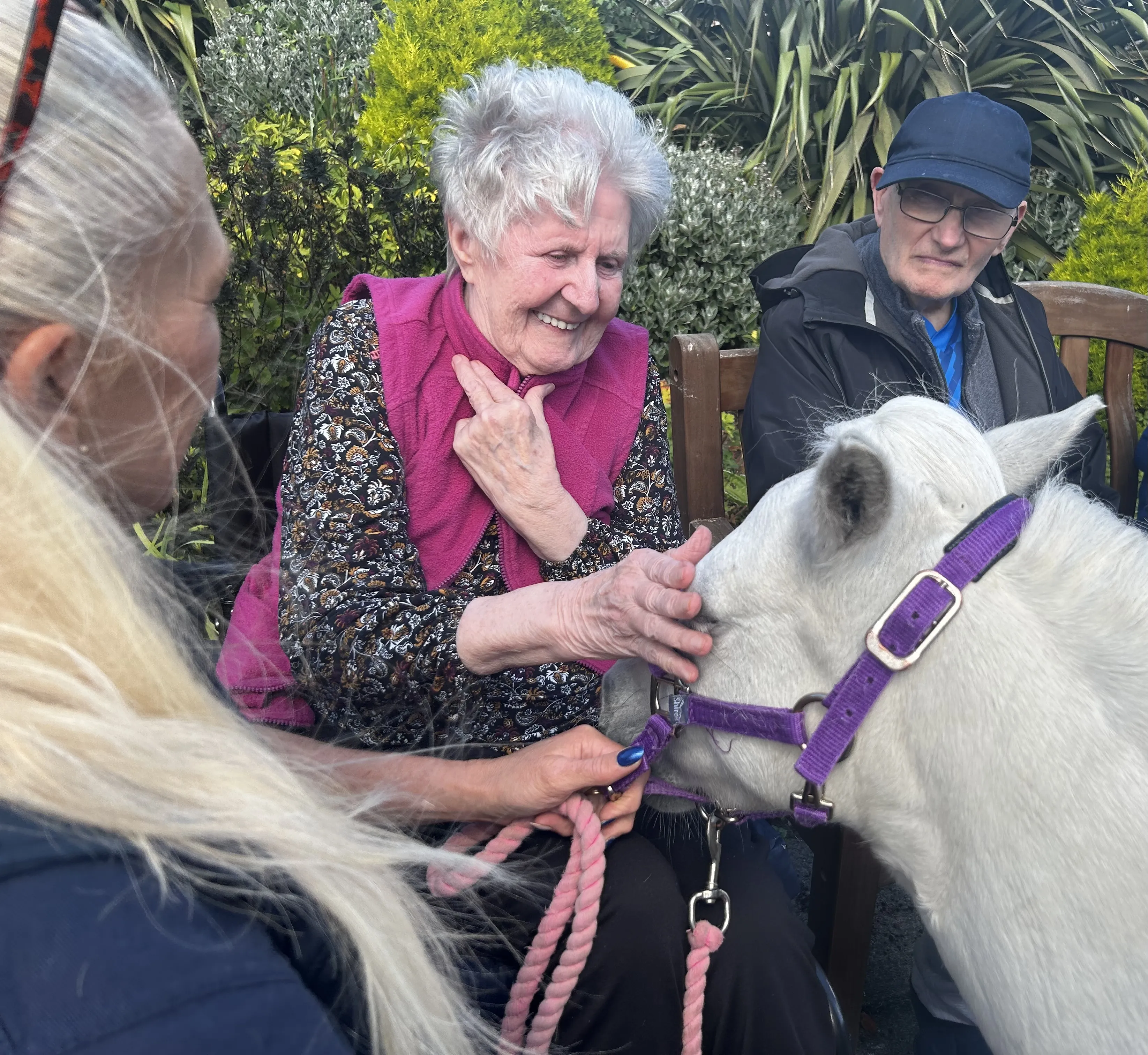 Joyful Ponies Visit 