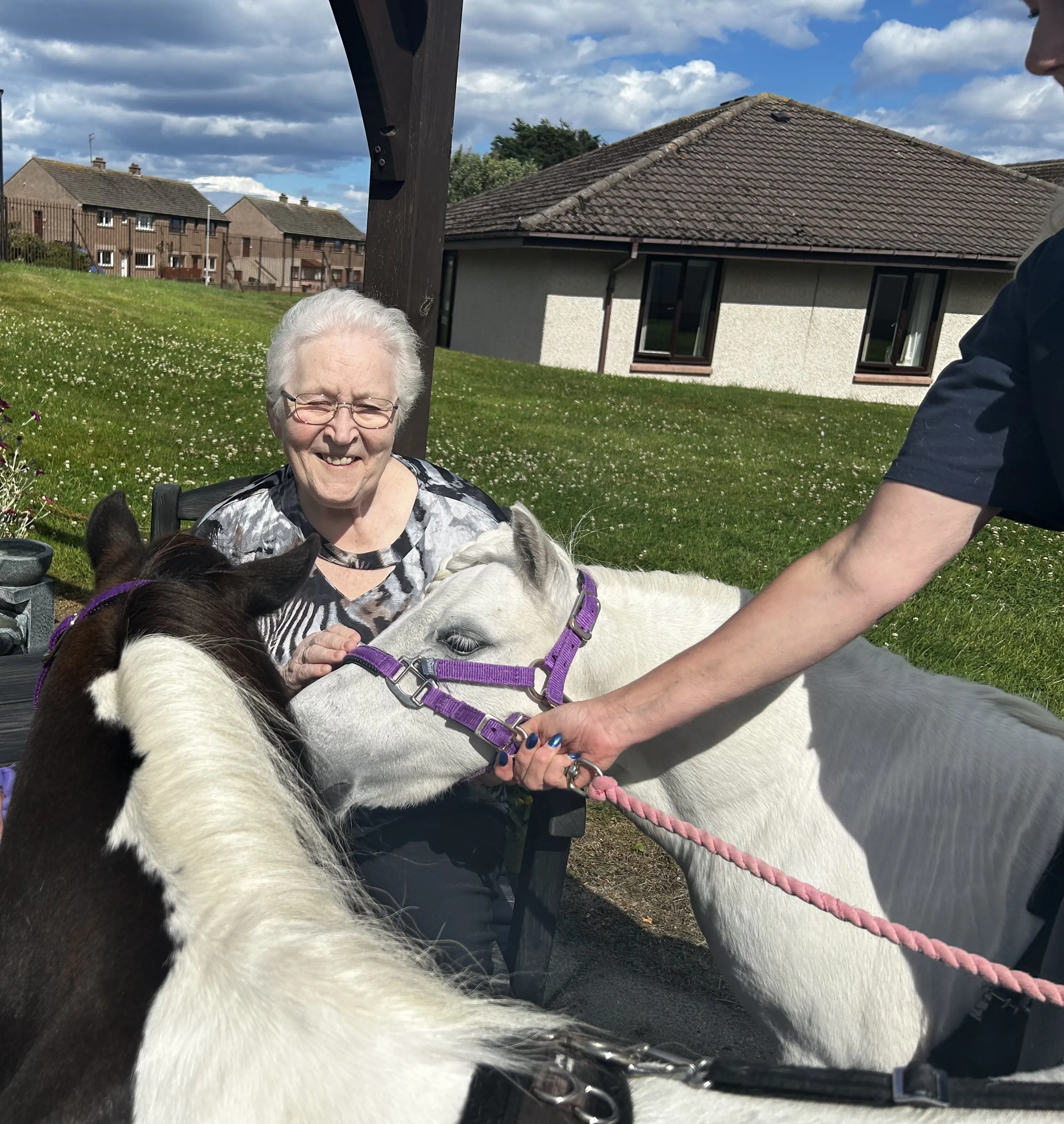 Joyful Ponies Visit 
