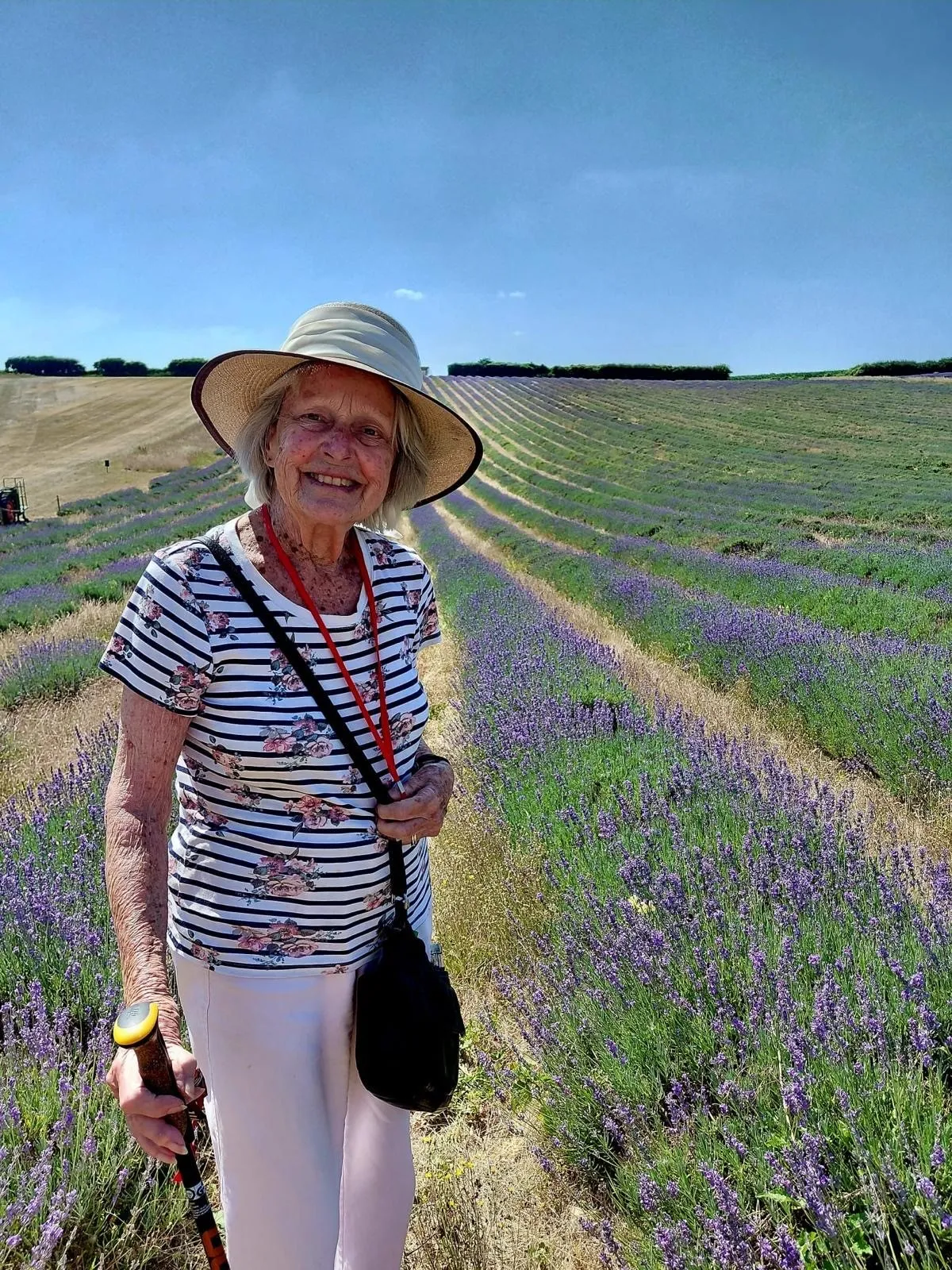 A Trip to Lordington Lavender