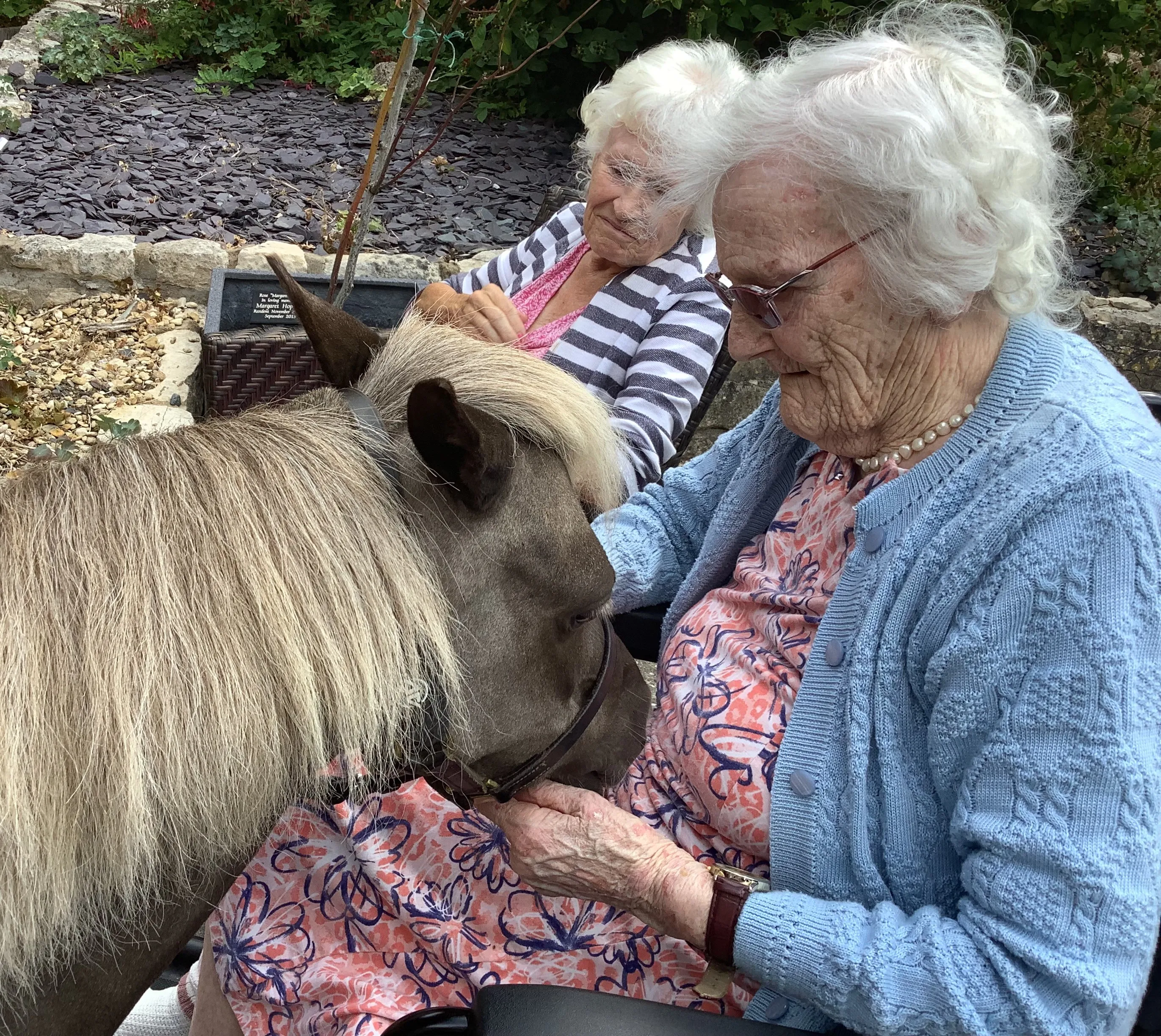 A special visit from Vino the Therapy Pony