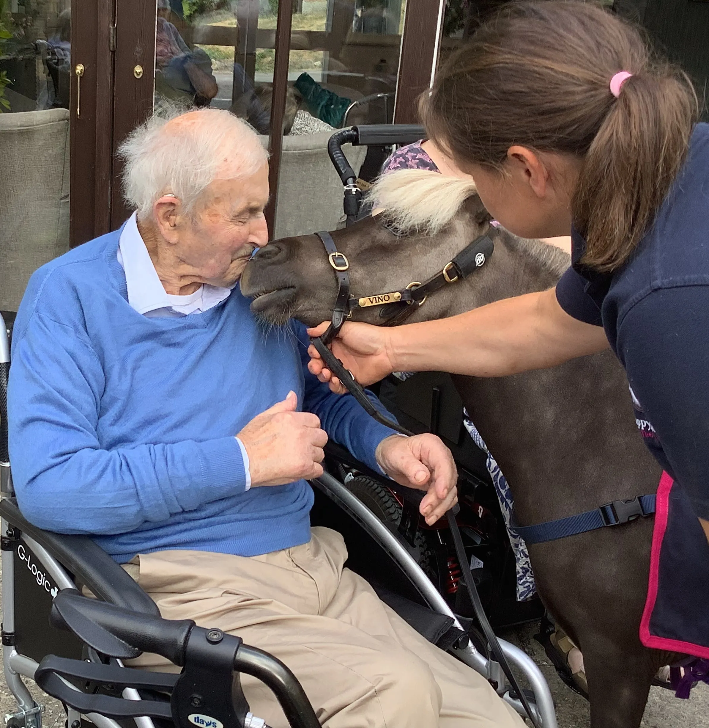 A special visit from Vino the Therapy Pony
