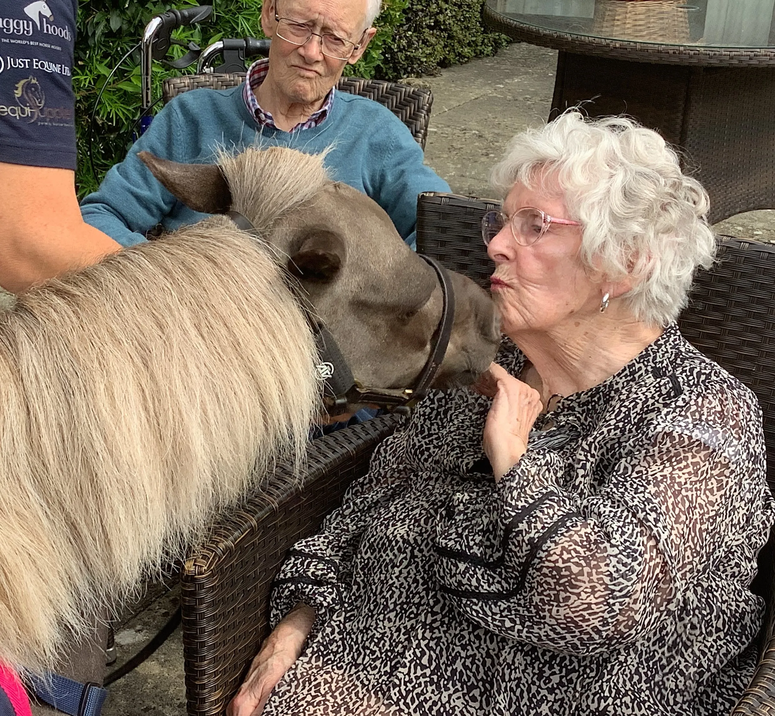 A special visit from Vino the Therapy Pony