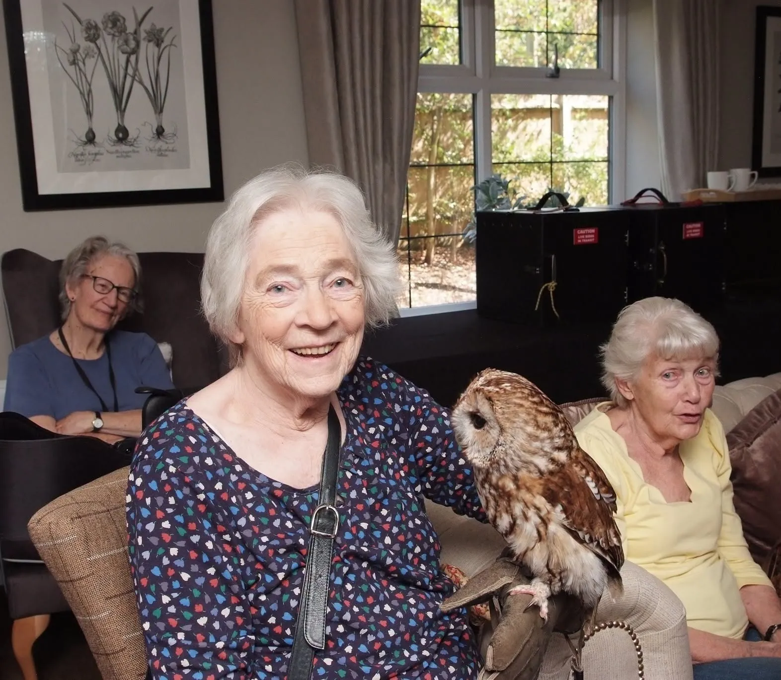 International Owl Awareness Day