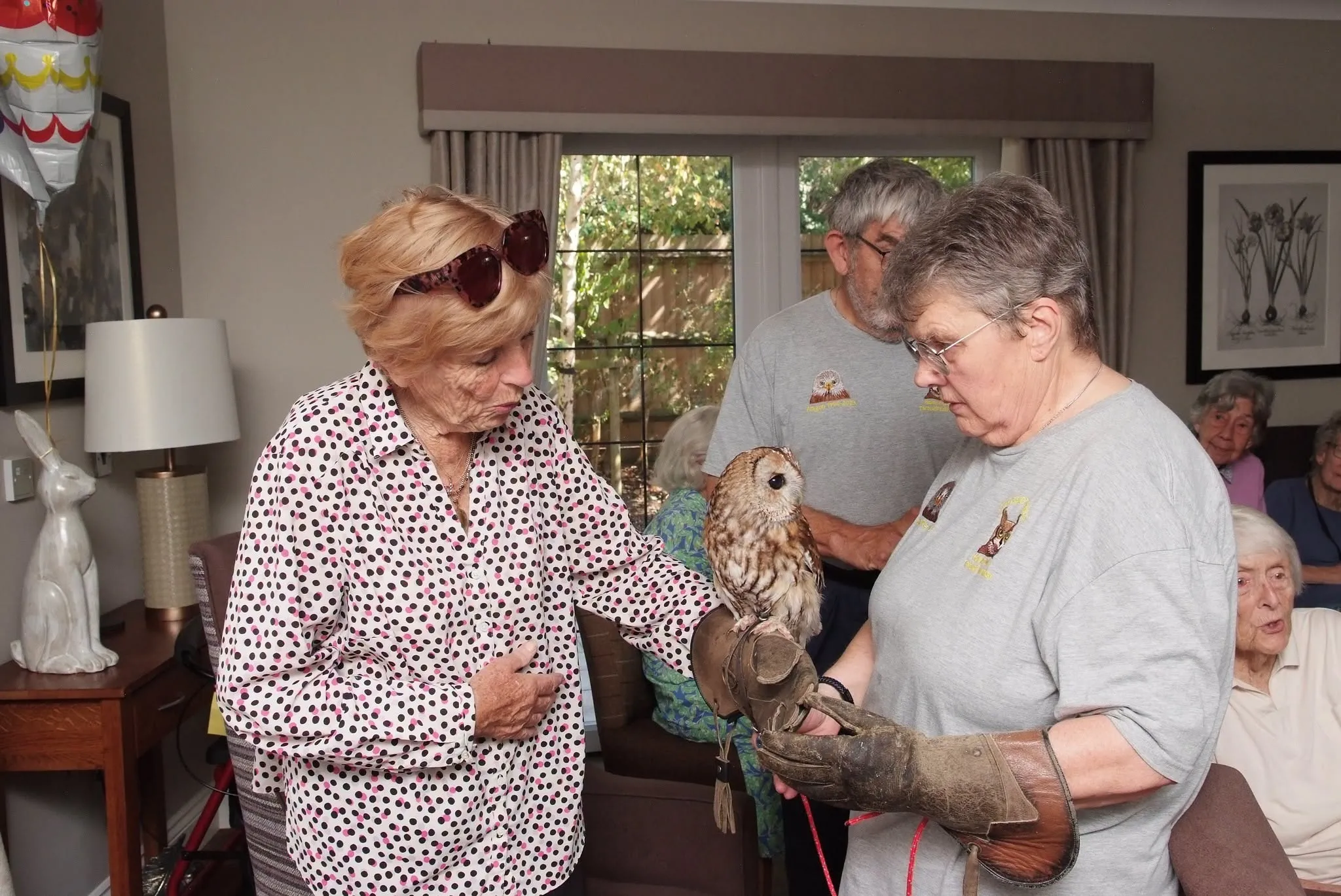 International Owl Awareness Day