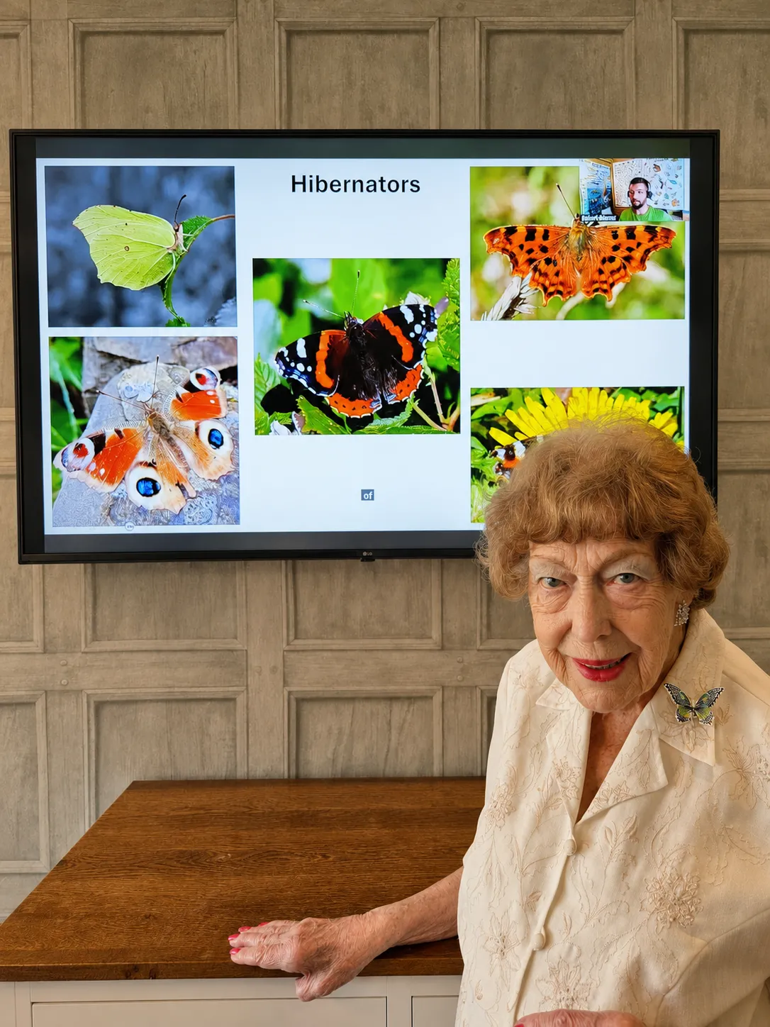 Discovering the Magic of Butterflies