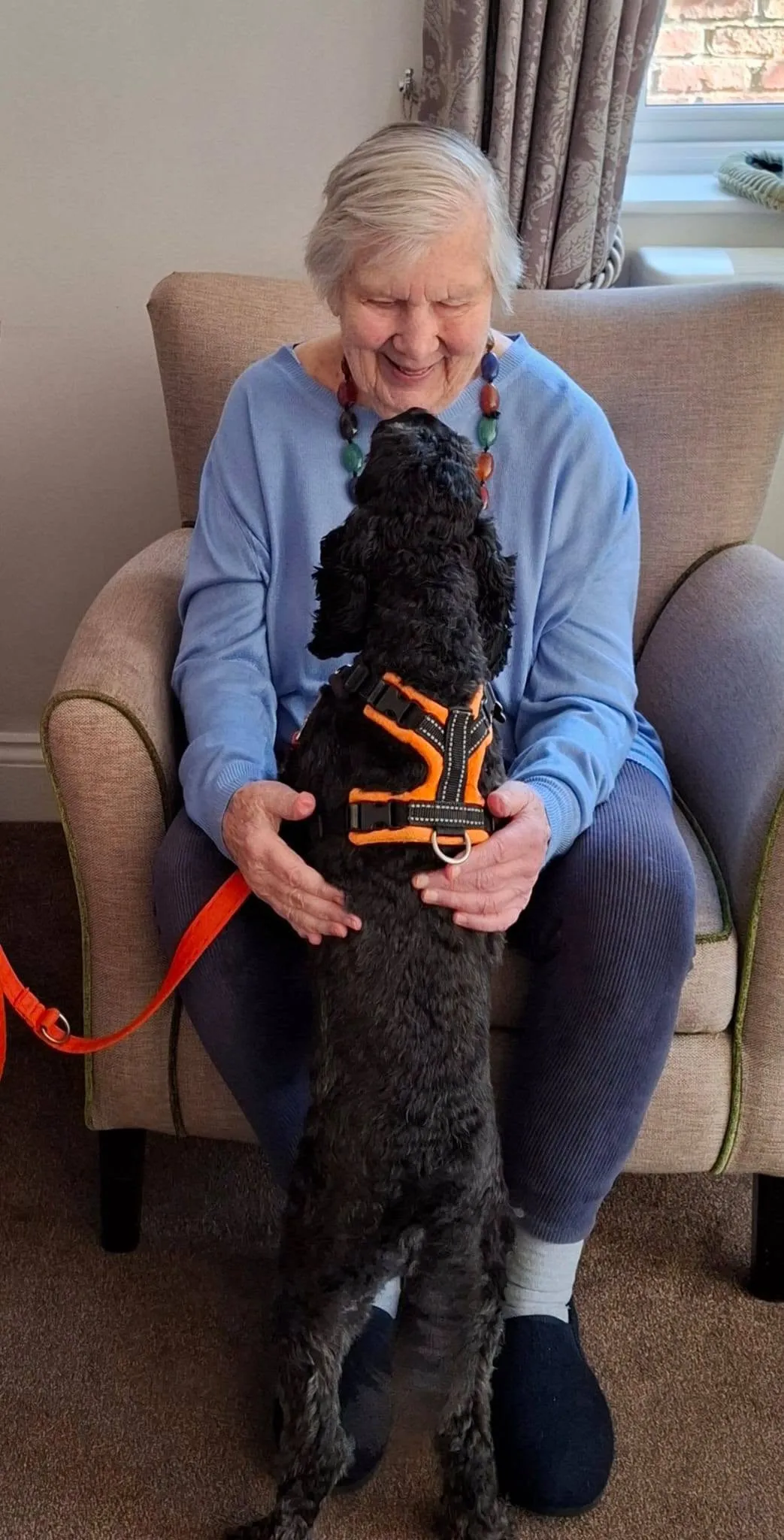 Pet Therapy