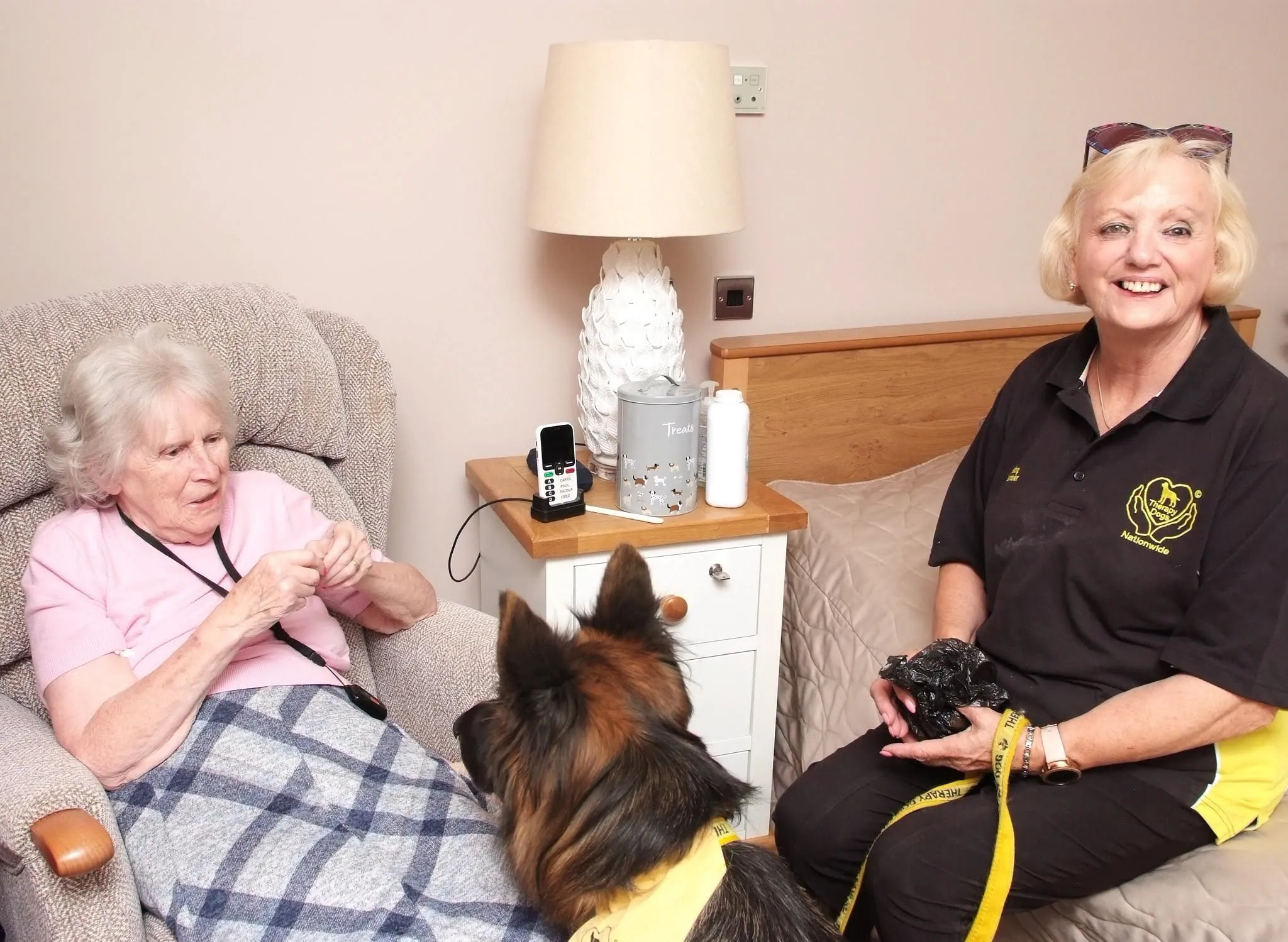 Therapy dogs