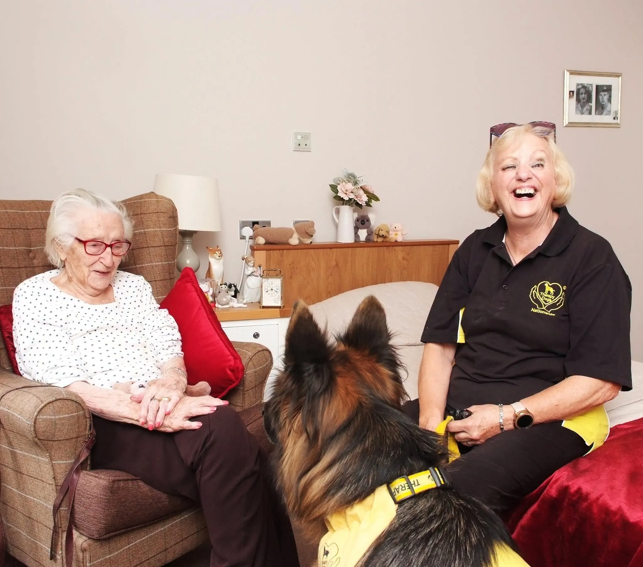 Therapy dogs