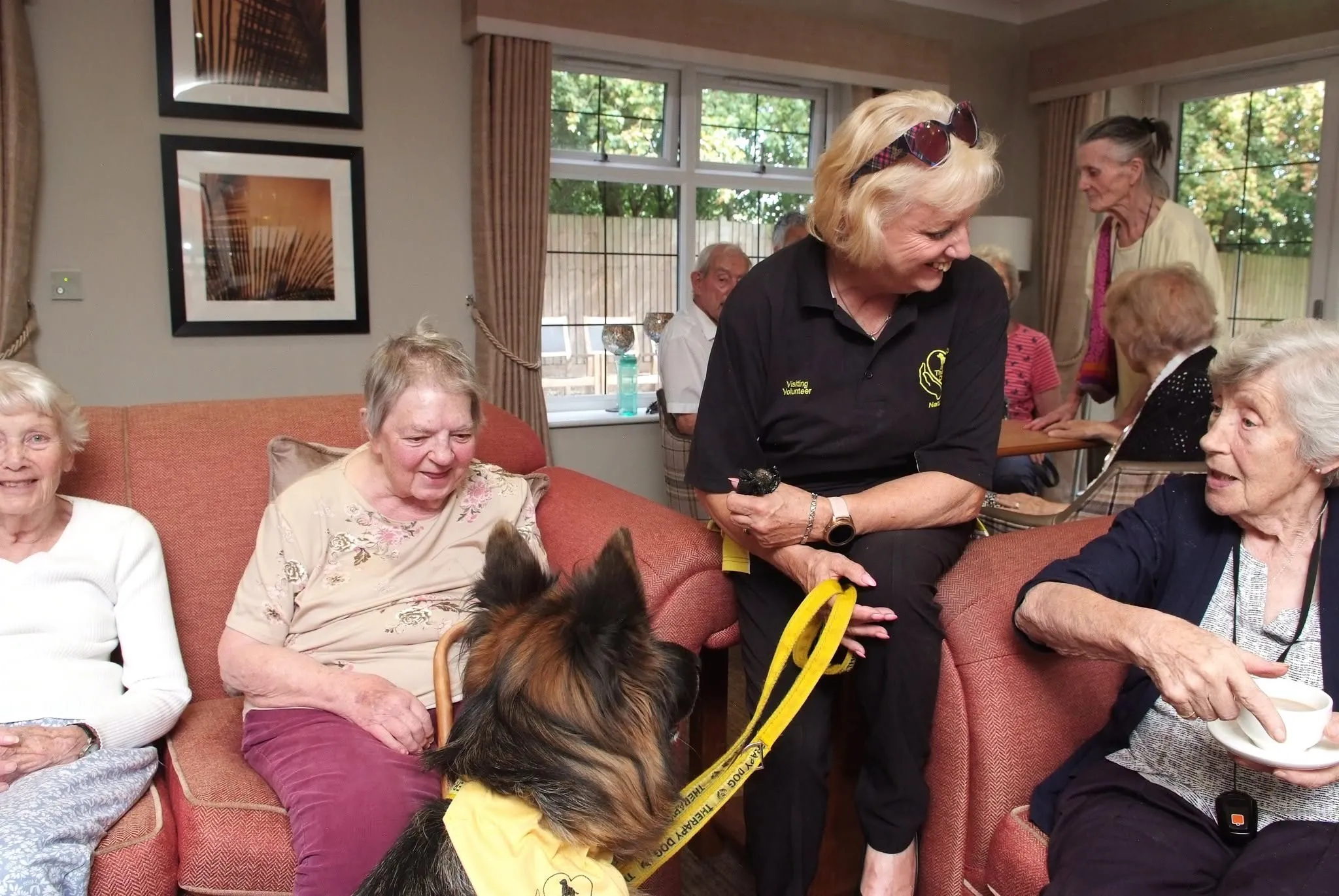 Therapy dogs